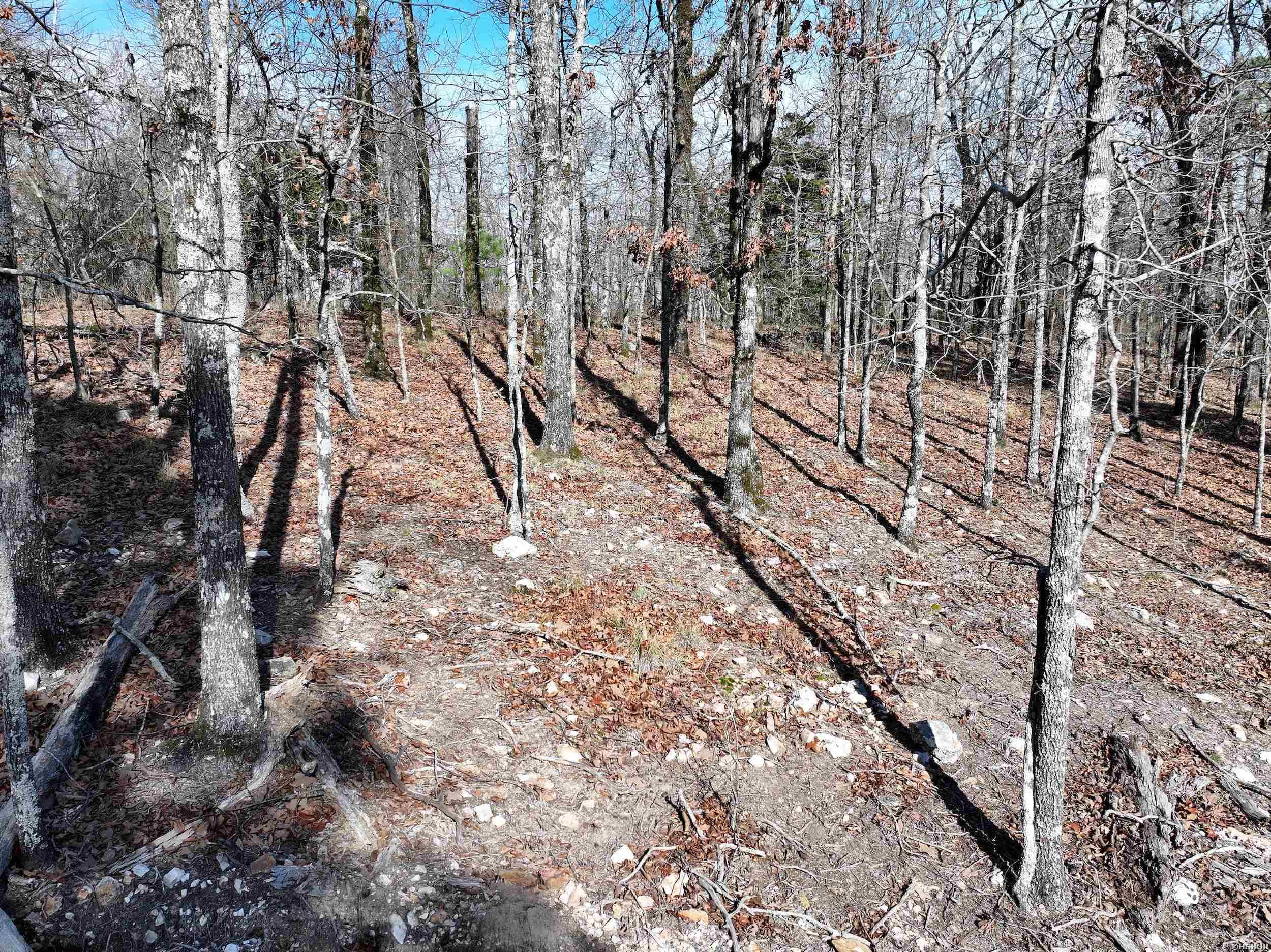 3373 Hwy 347 Property Photo 21