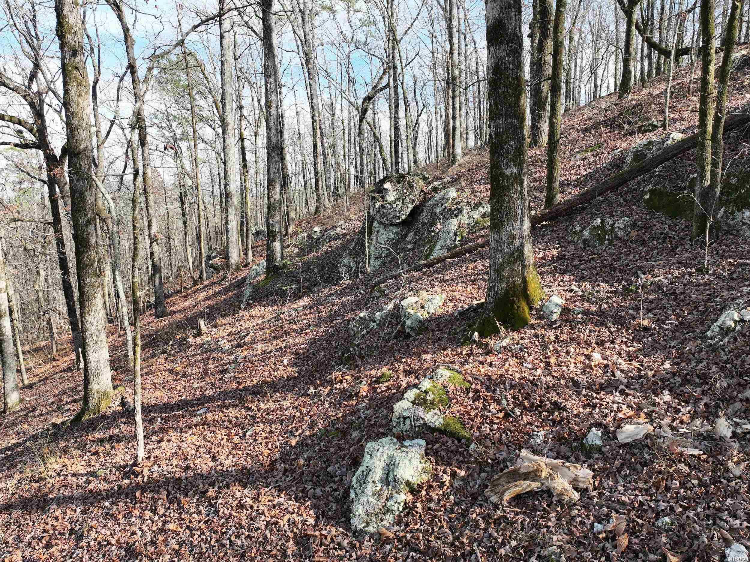 3373 Hwy 347 Property Photo 22