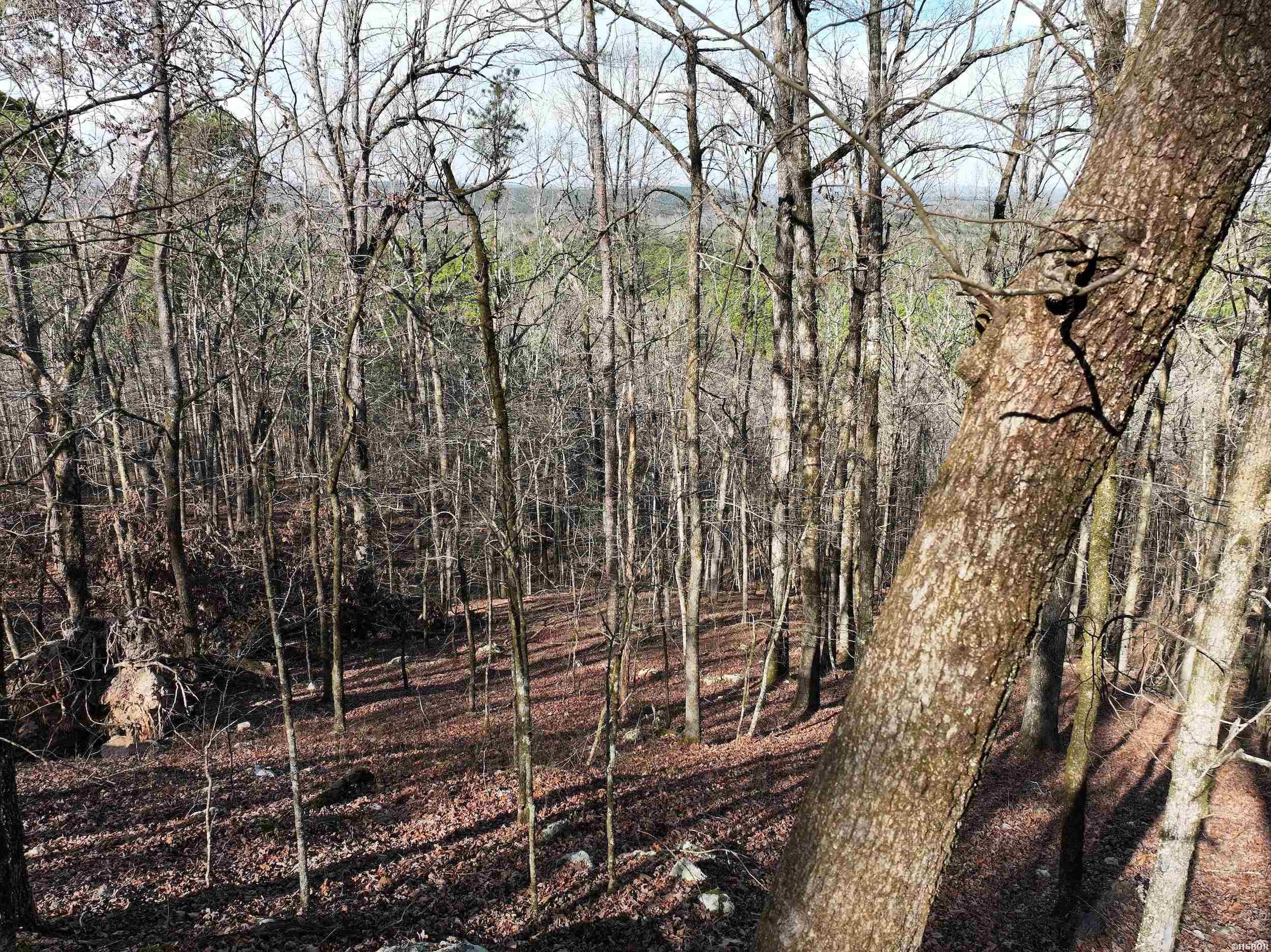 3373 Hwy 347 Property Photo 23