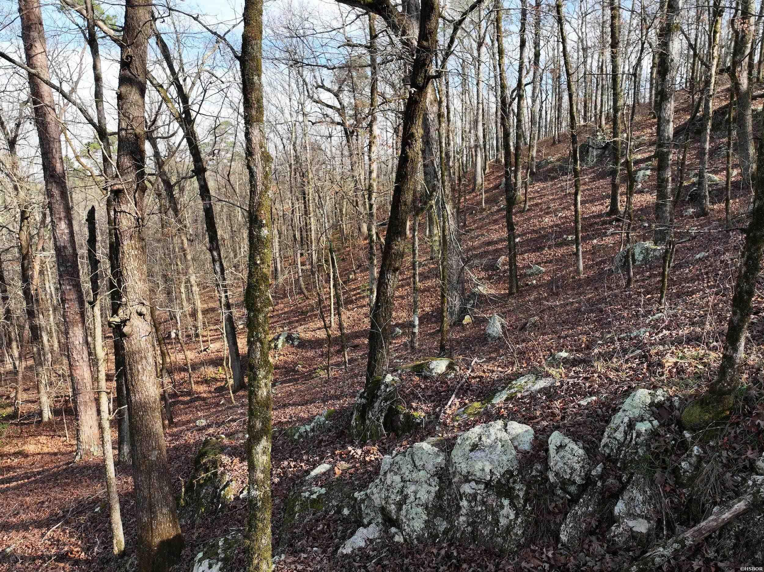 3373 Hwy 347 Property Photo 25