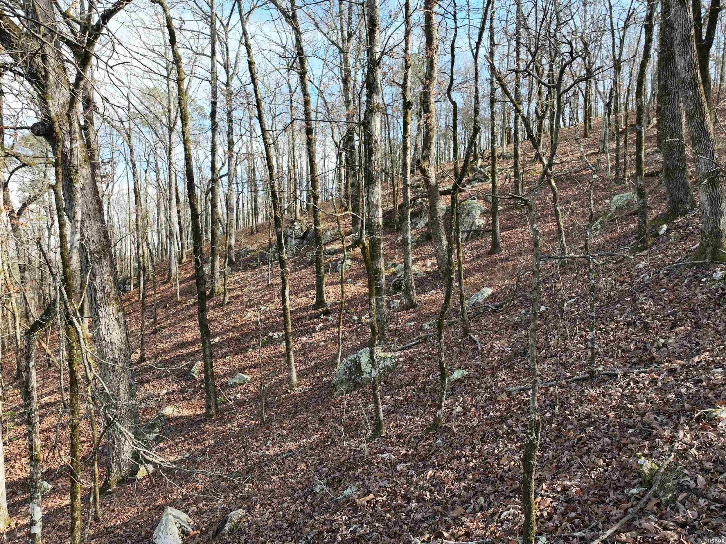 3373 Hwy 347 Property Photo 26