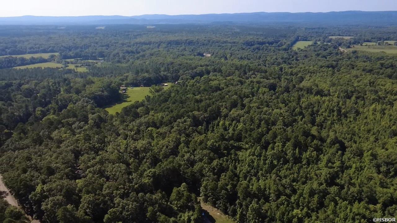 43 Hughbanks Hollow Property Photo 1