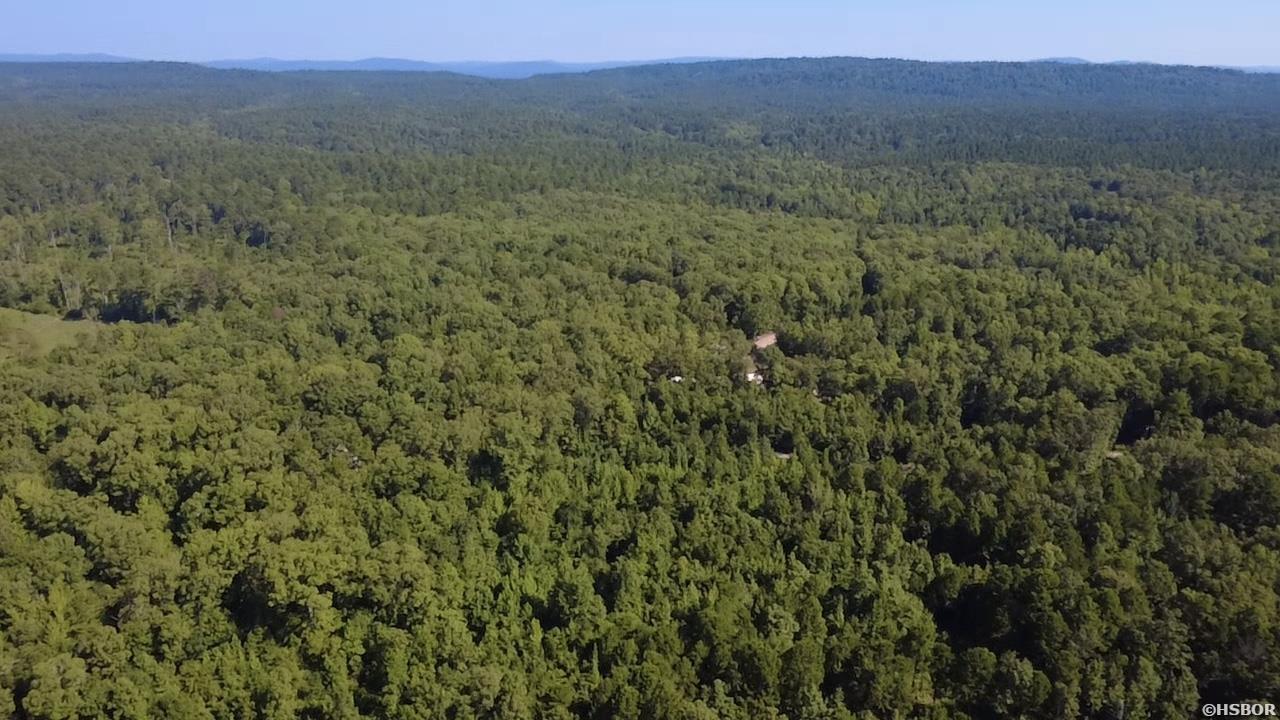 43 Hughbanks Hollow Property Photo 2
