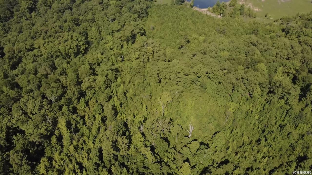 43 Hughbanks Hollow Property Photo 3