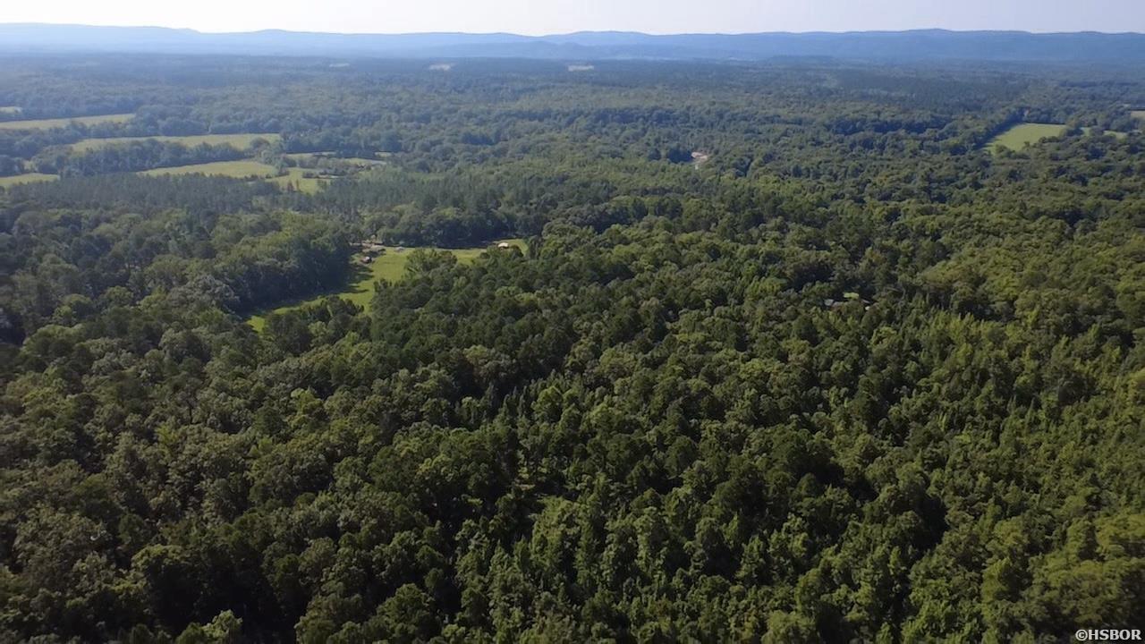 43 Hughbanks Hollow Property Photo 5