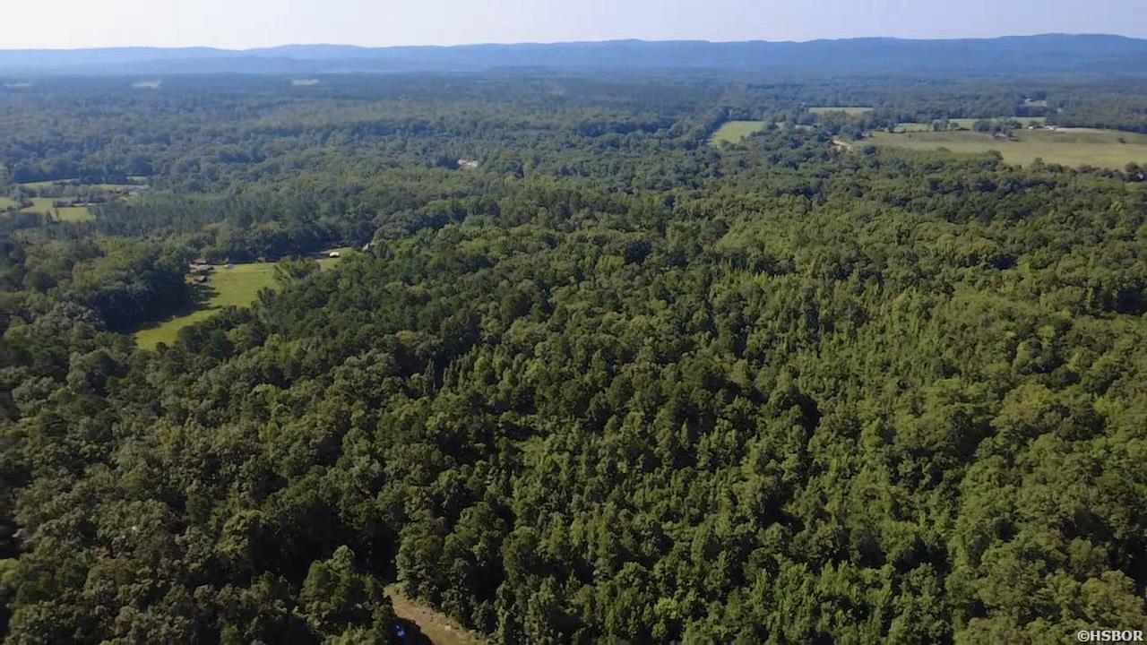 43 Hughbanks Hollow Property Photo 6