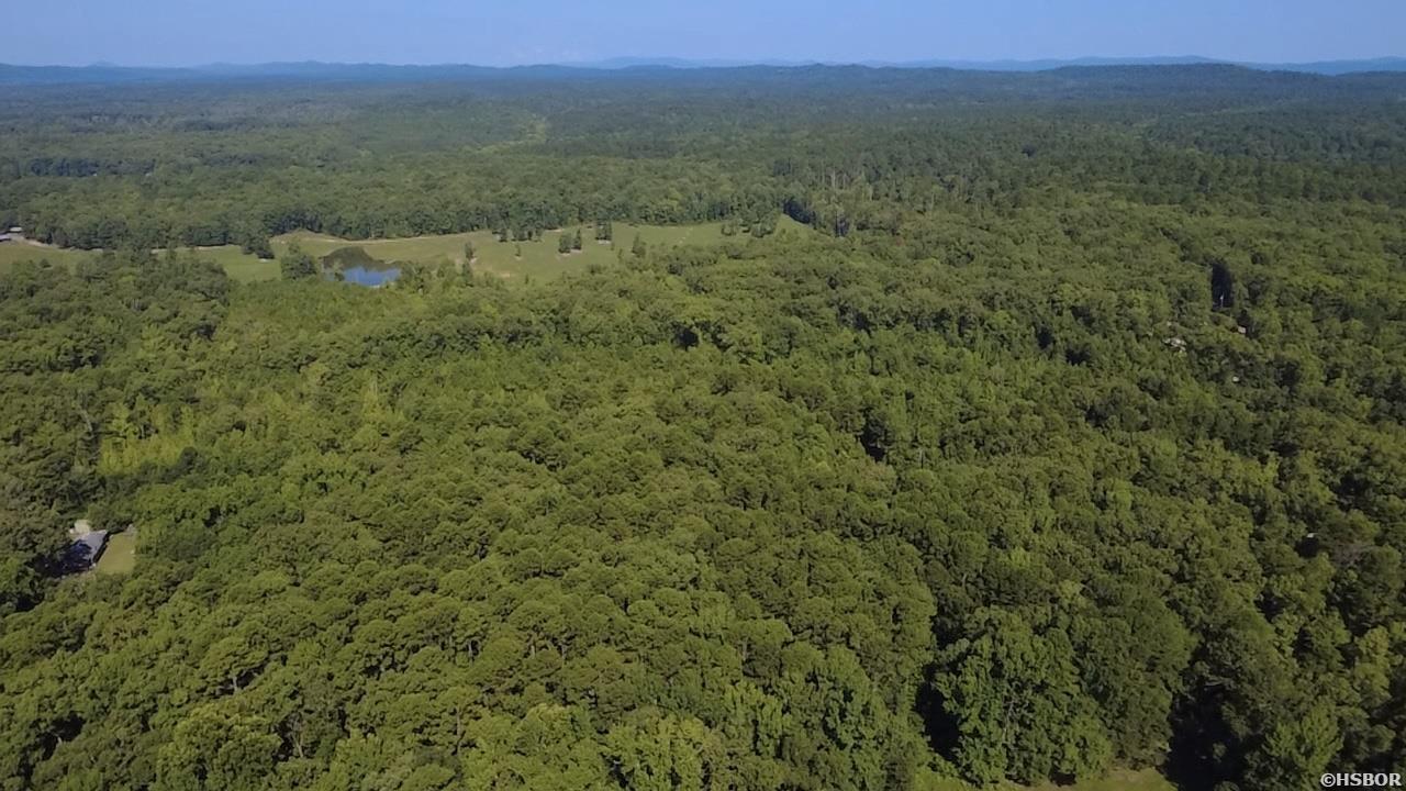 43 Hughbanks Hollow Property Photo 8