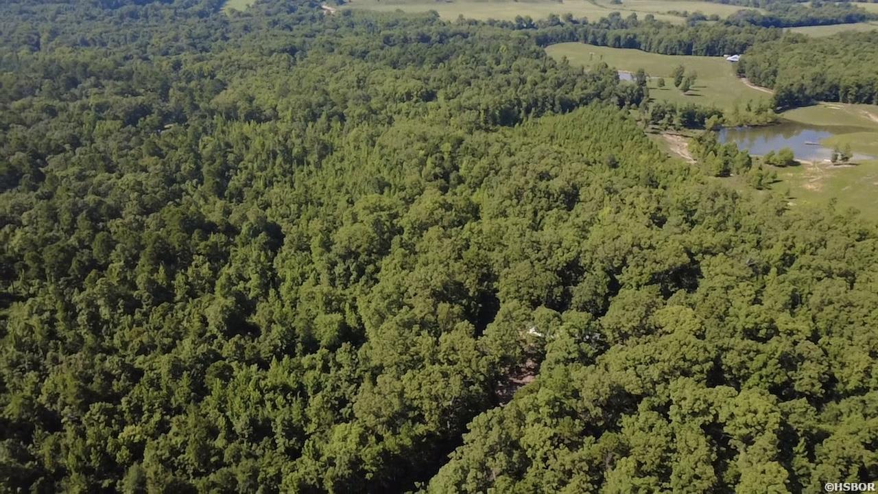 43 Hughbanks Hollow Property Photo 9