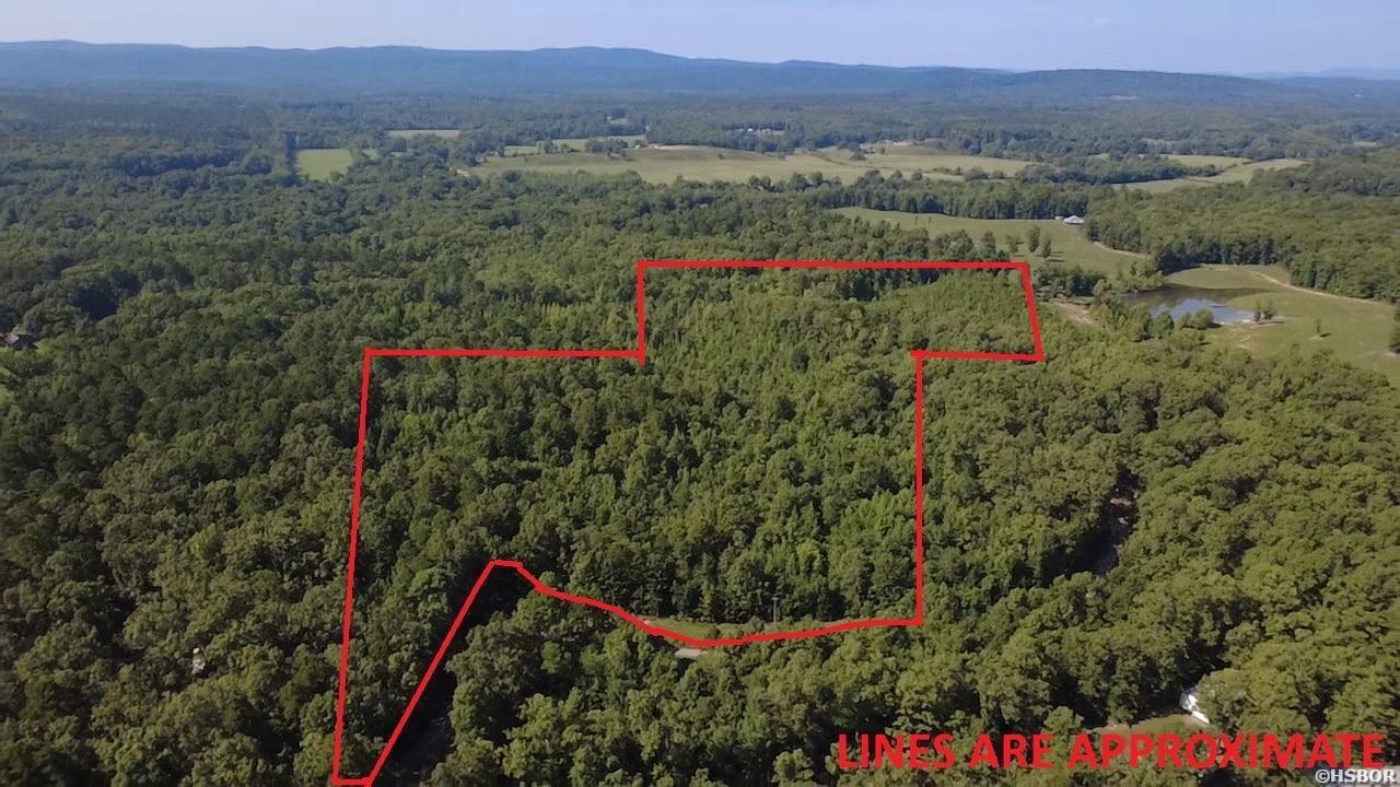 43 Hughbanks Hollow Property Photo 11