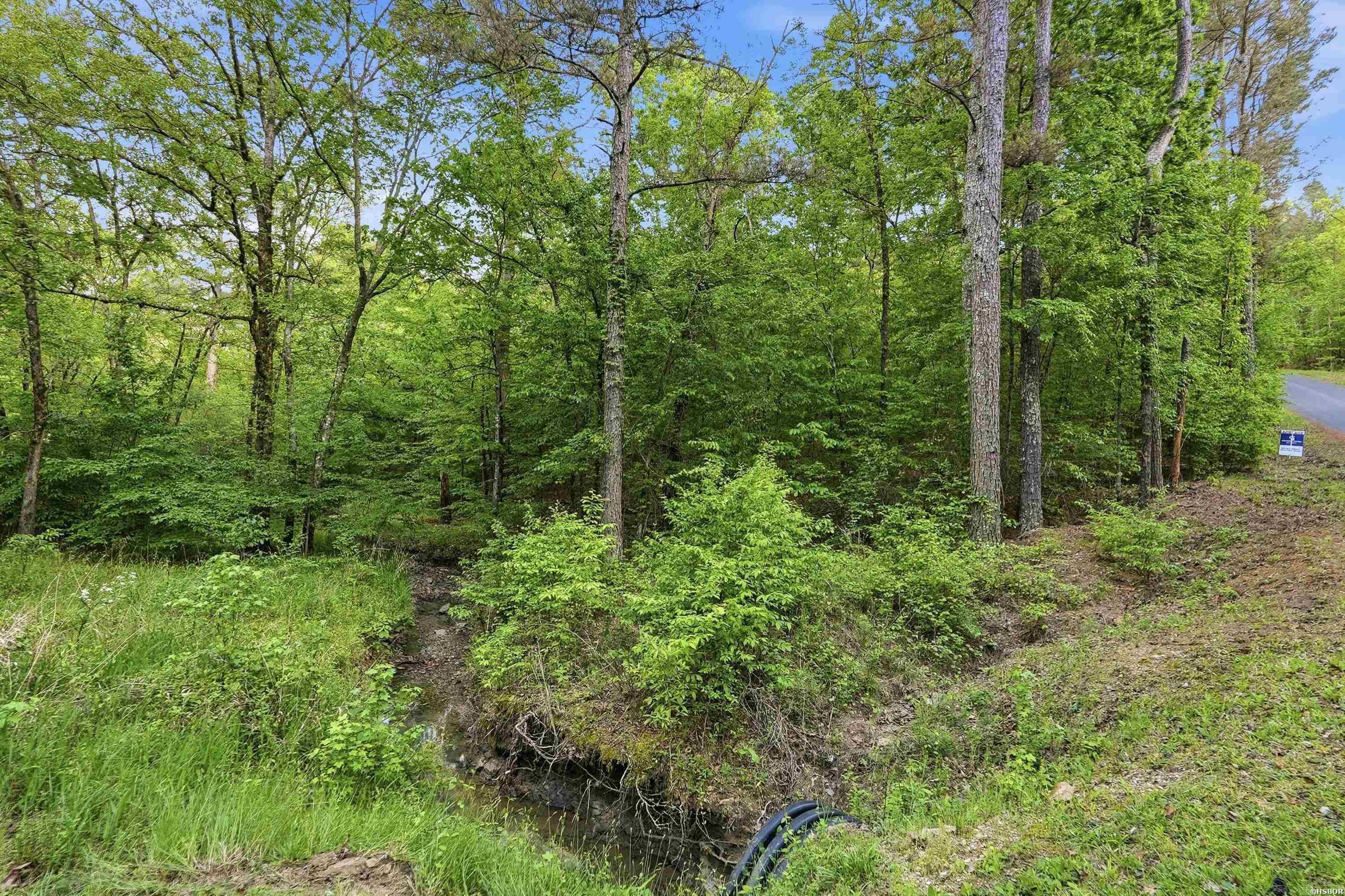 Lots 17 & 18 Tall Hickory Road Property Photo 10