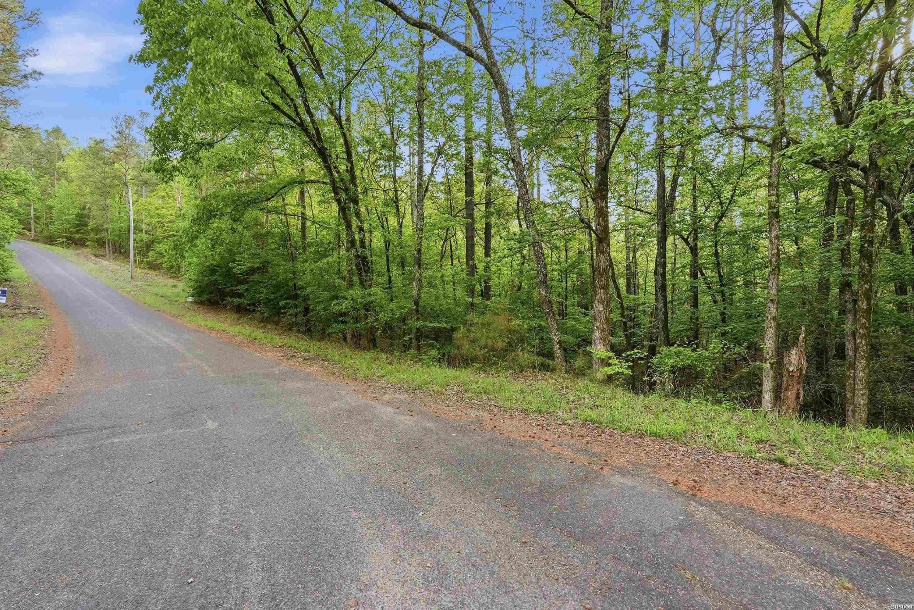 Lots 17 & 18 Tall Hickory Road Property Photo 16