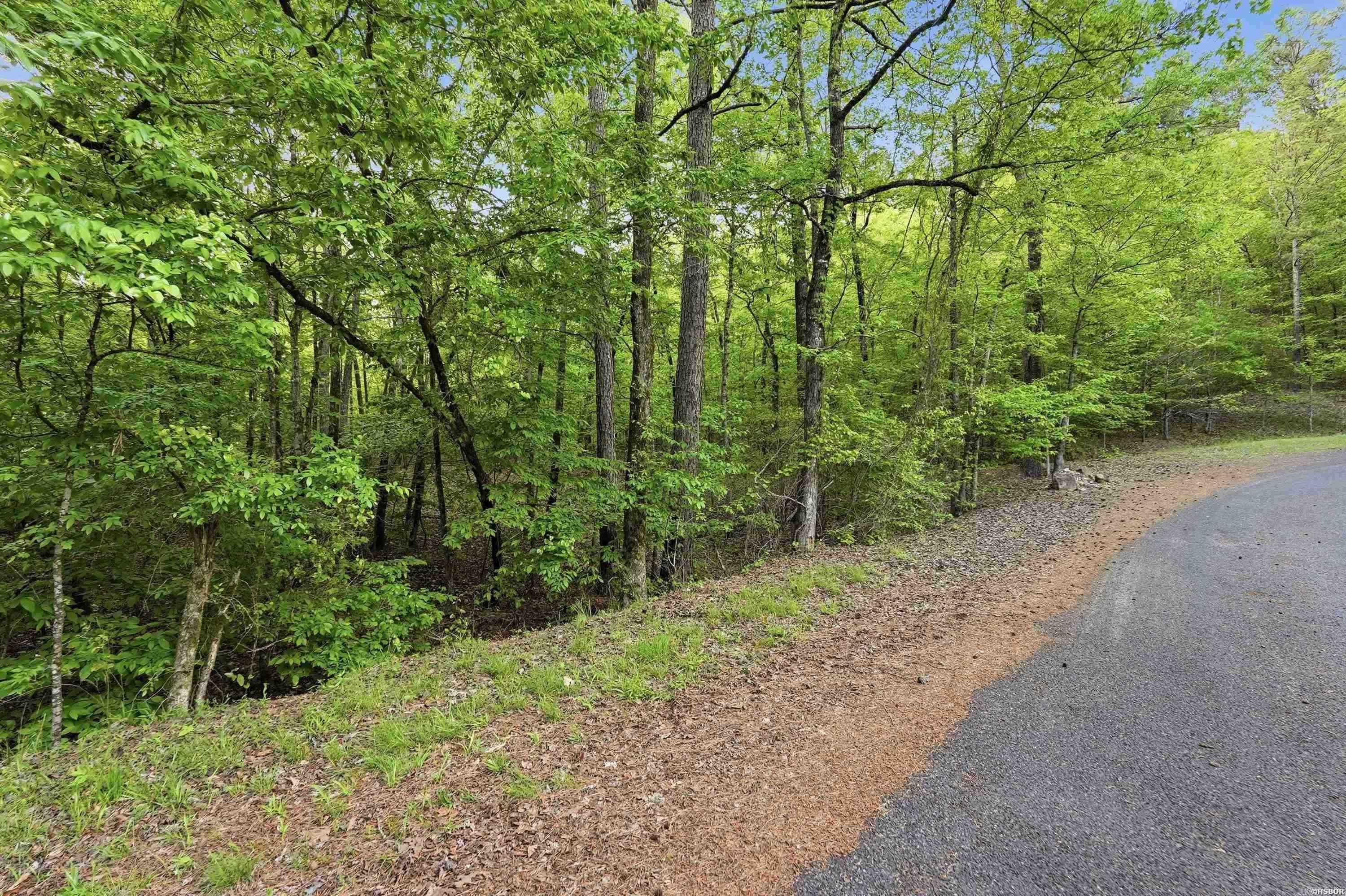 Lots 17 & 18 Tall Hickory Road Property Photo 34