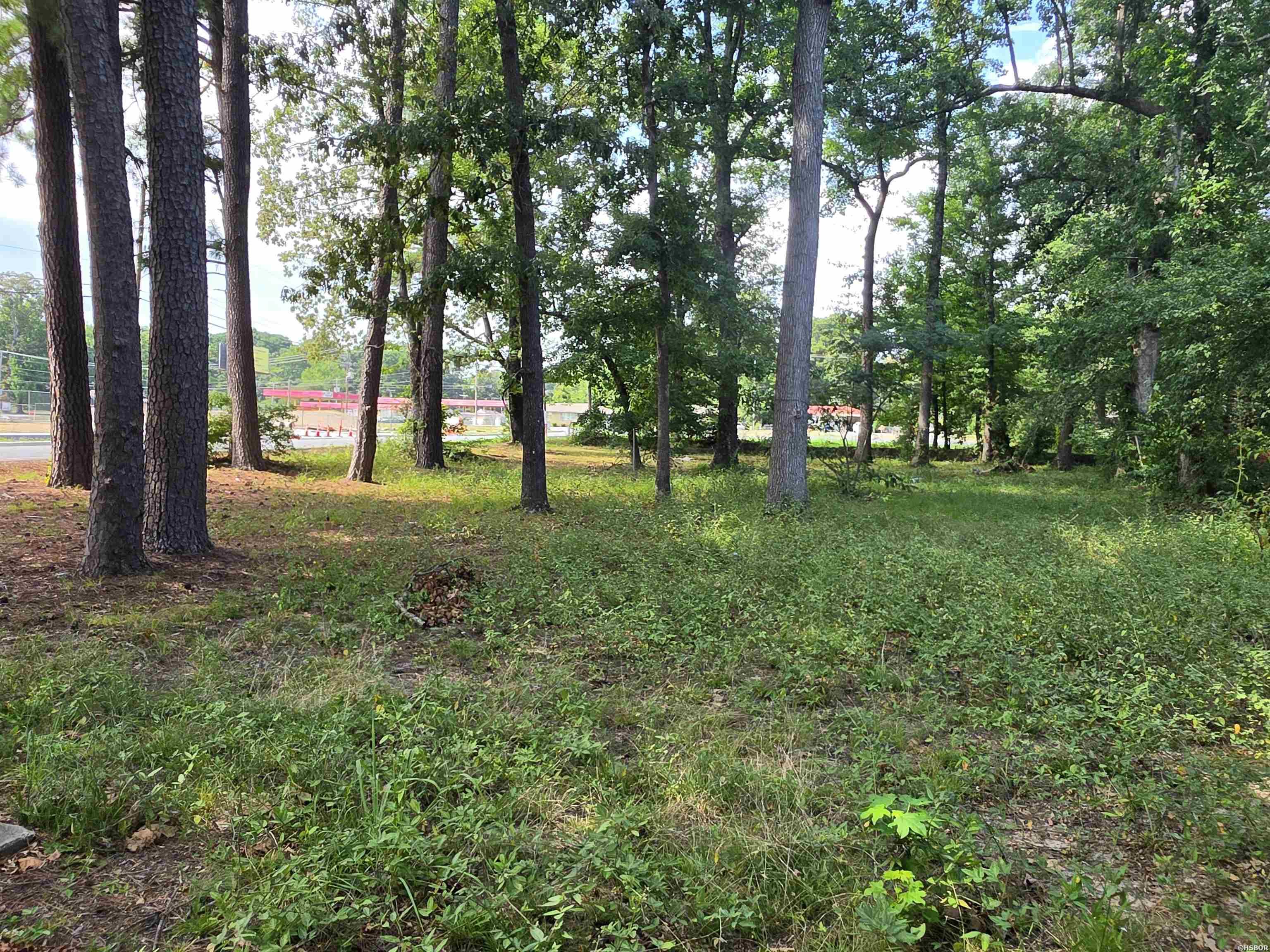 4424 Bruno Road Property Photo 10