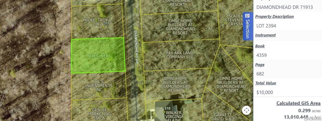 Lot 2394 Diamondhead Drive Property Photo 2