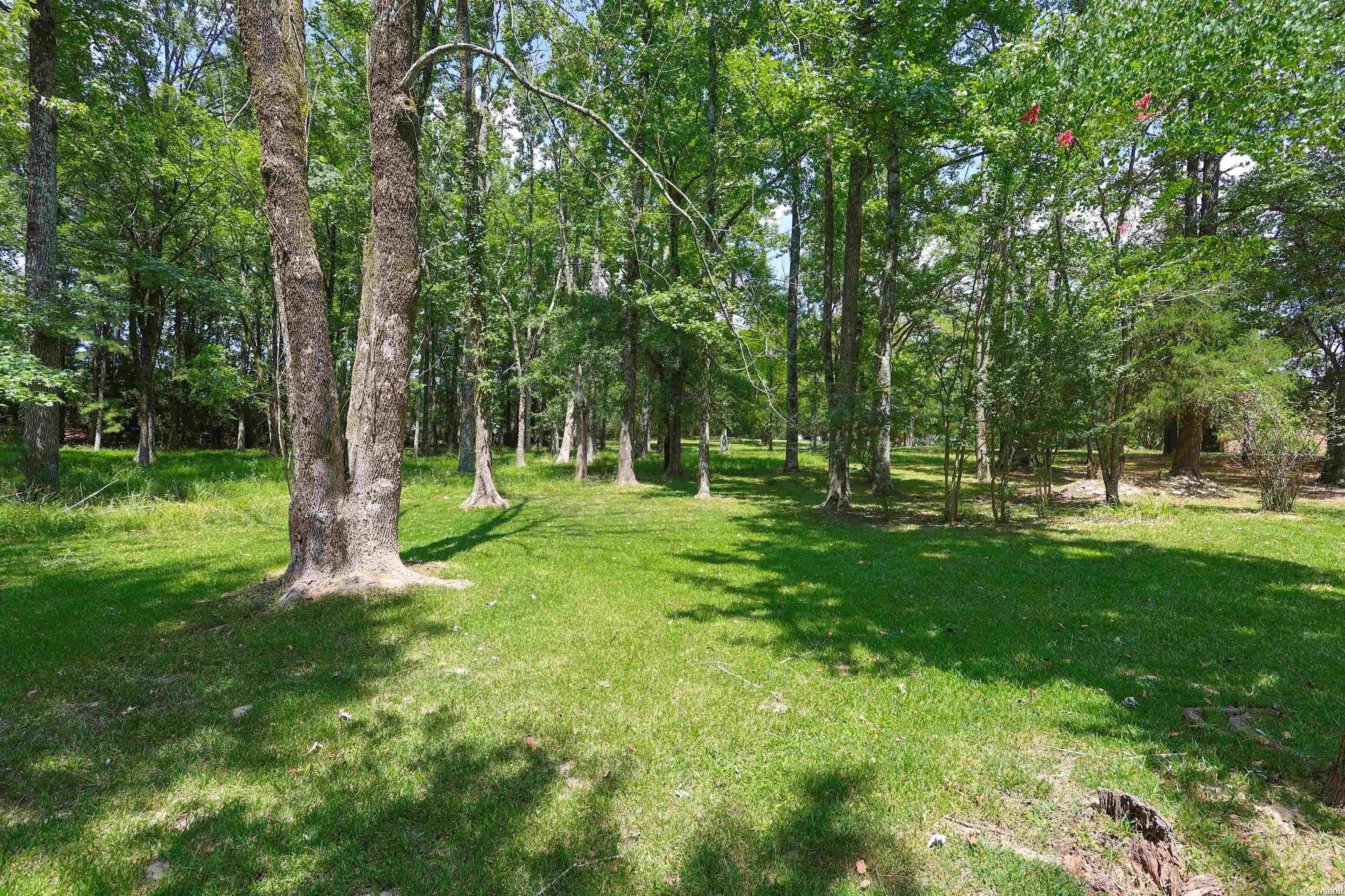 228 Park Street Property Photo 44