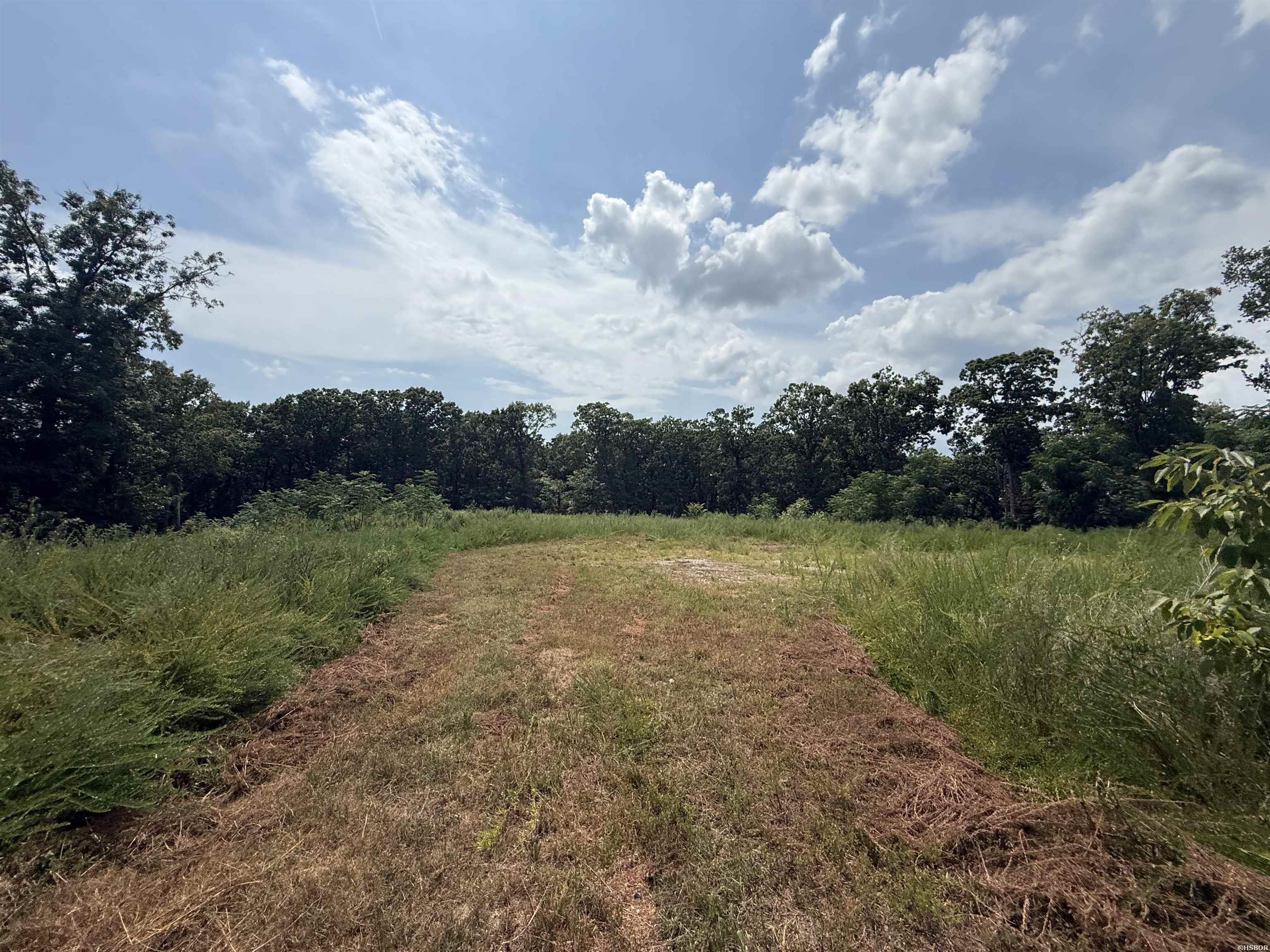 Tbd Copperhead Drive Property Photo 2
