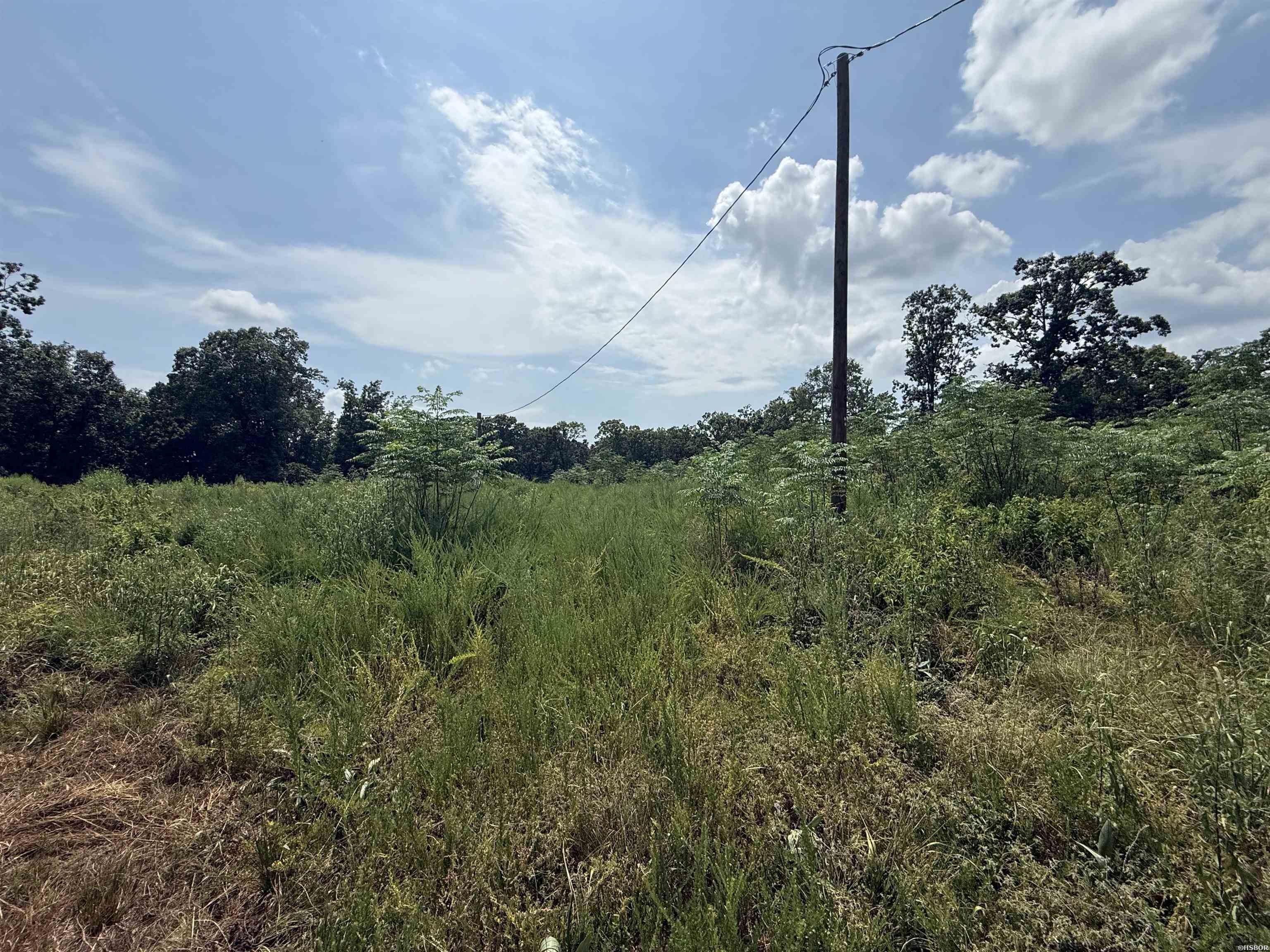 Tbd Copperhead Drive Property Photo 5