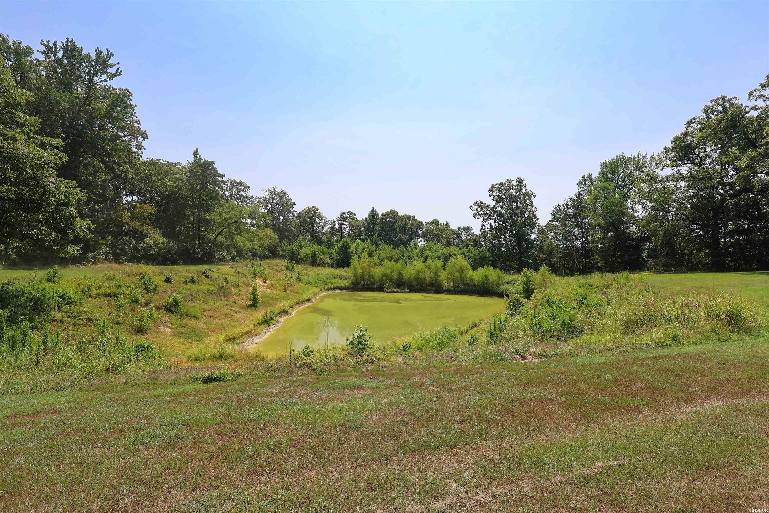 80 Parliment Hill Property Photo 37