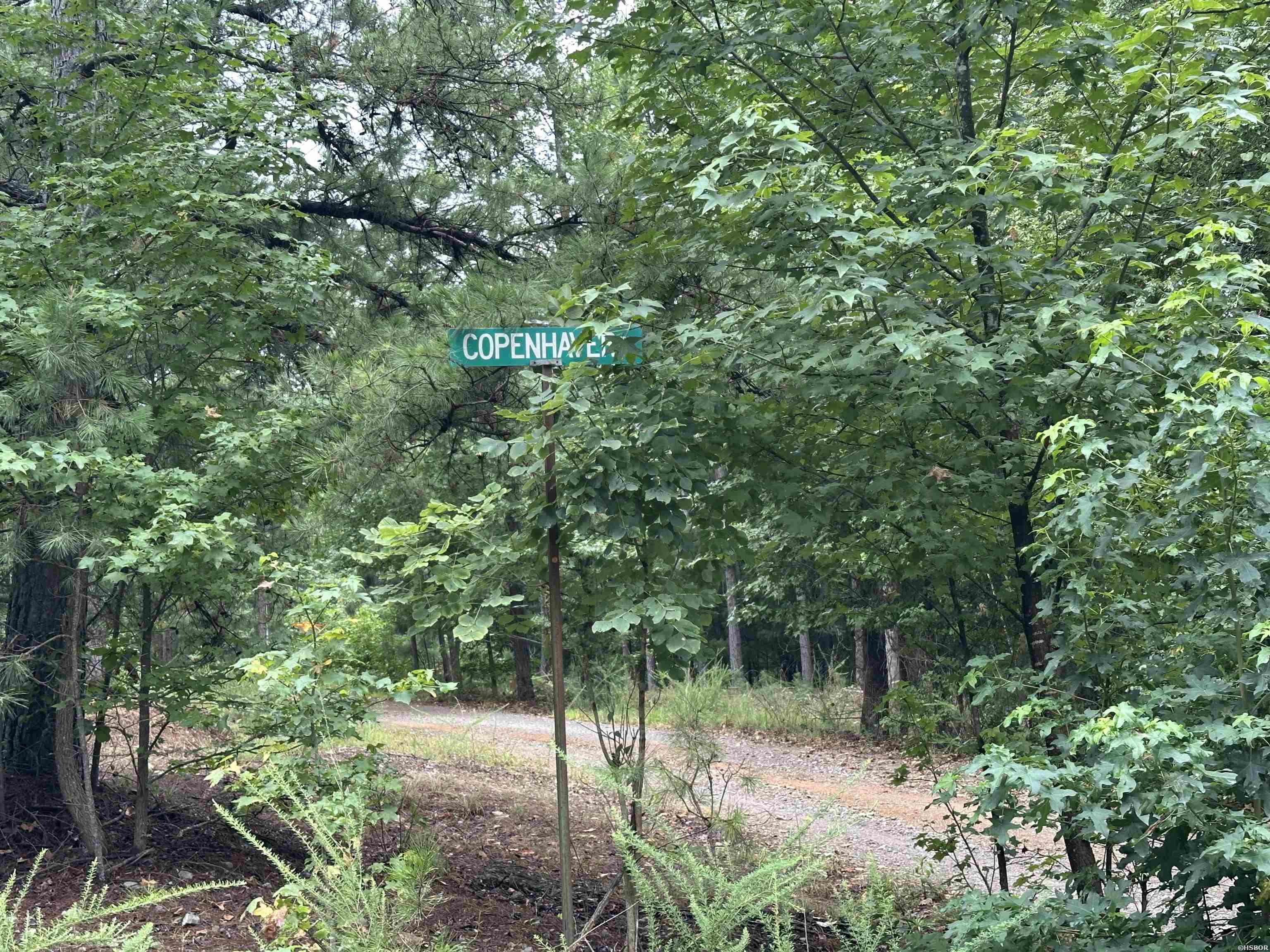 Lot 39 Copenhaver Trail Property Photo 2
