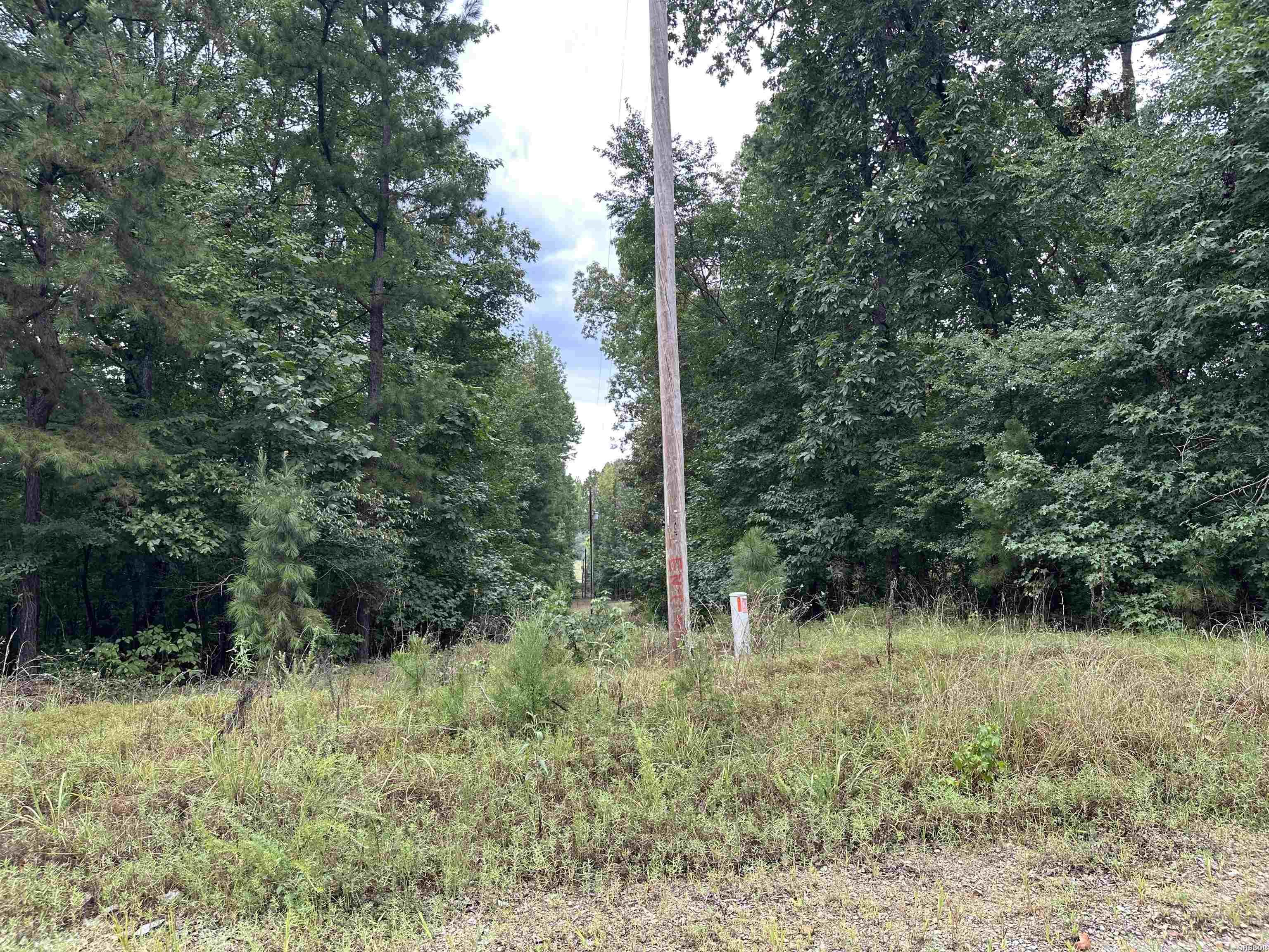 Lot 39 Copenhaver Trail Property Photo 3