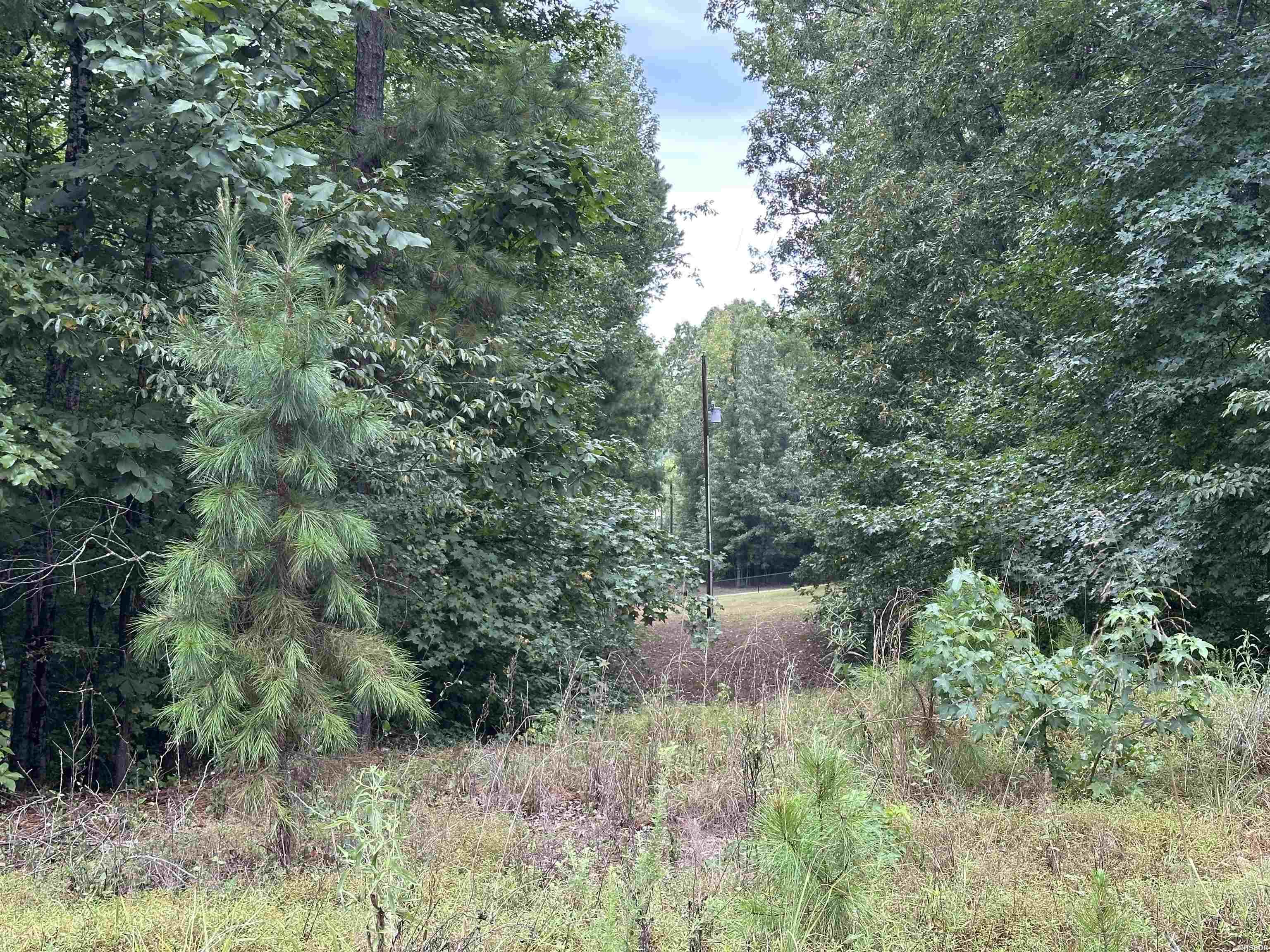Lot 39 Copenhaver Trail Property Photo 4
