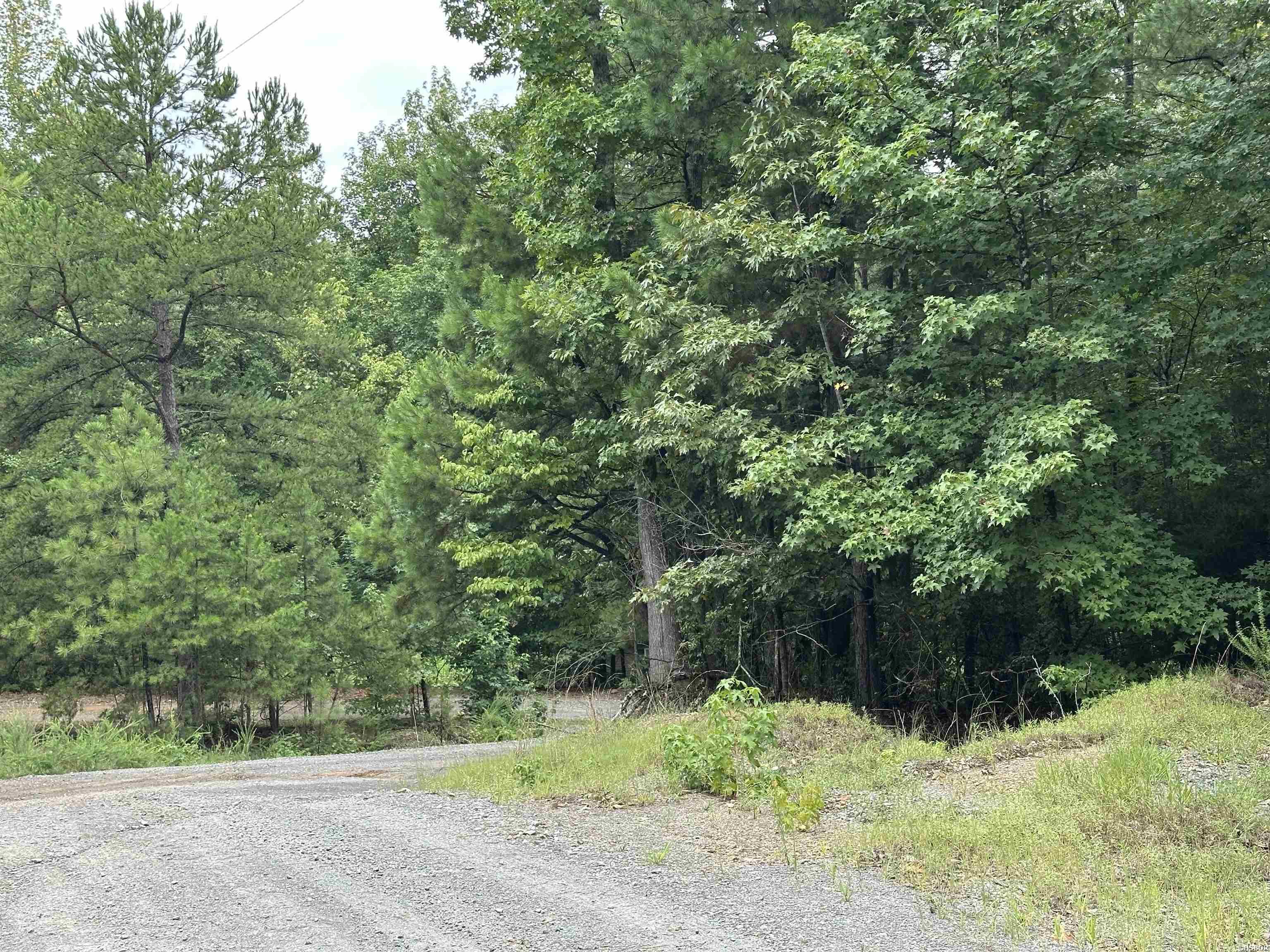 Lot 39 Copenhaver Trail Property Photo 5