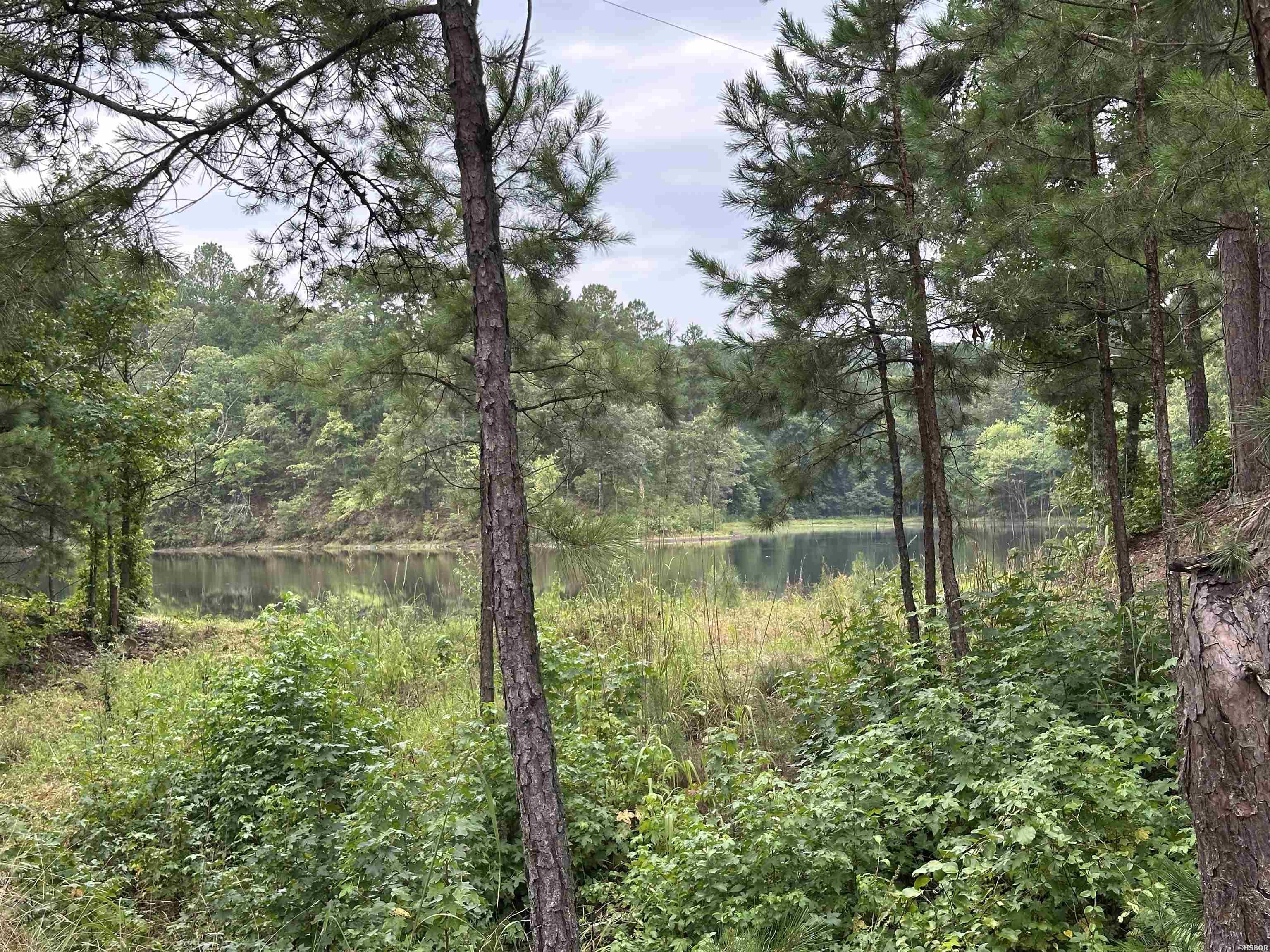 Lot 39 Copenhaver Trail Property Photo 10