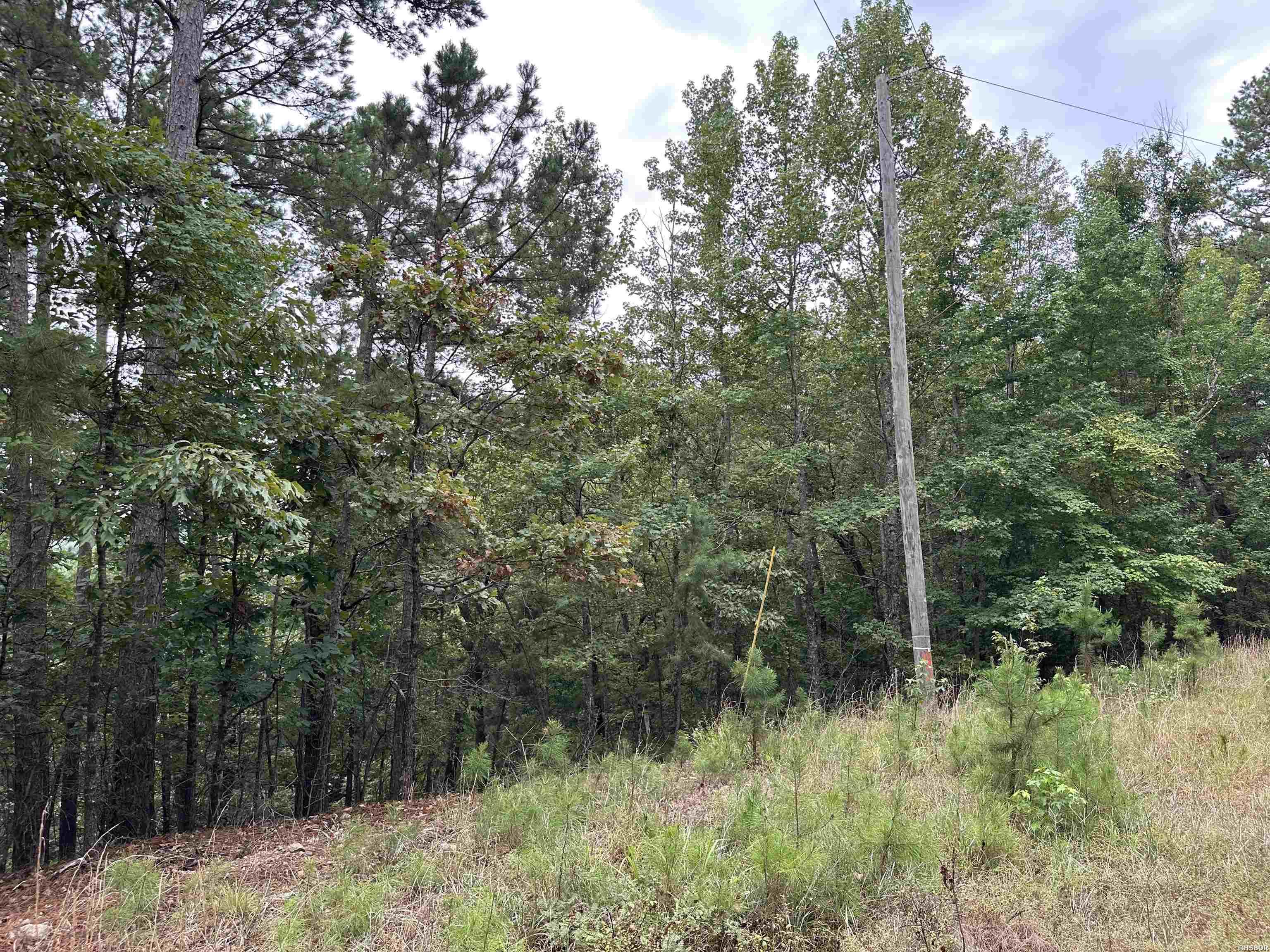 Lot 39 Copenhaver Trail Property Photo 12
