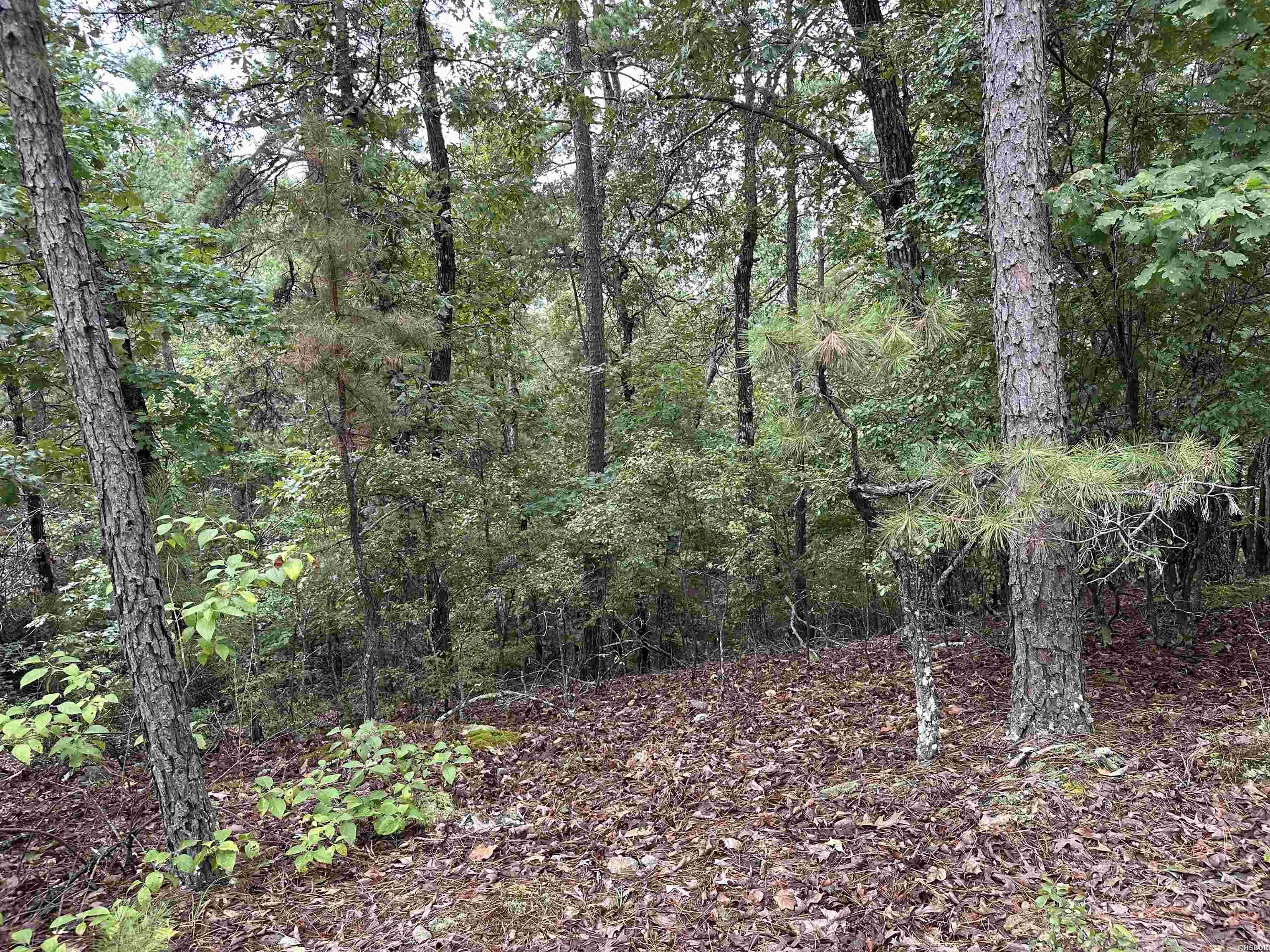 Lot 39 Copenhaver Trail Property Photo 13