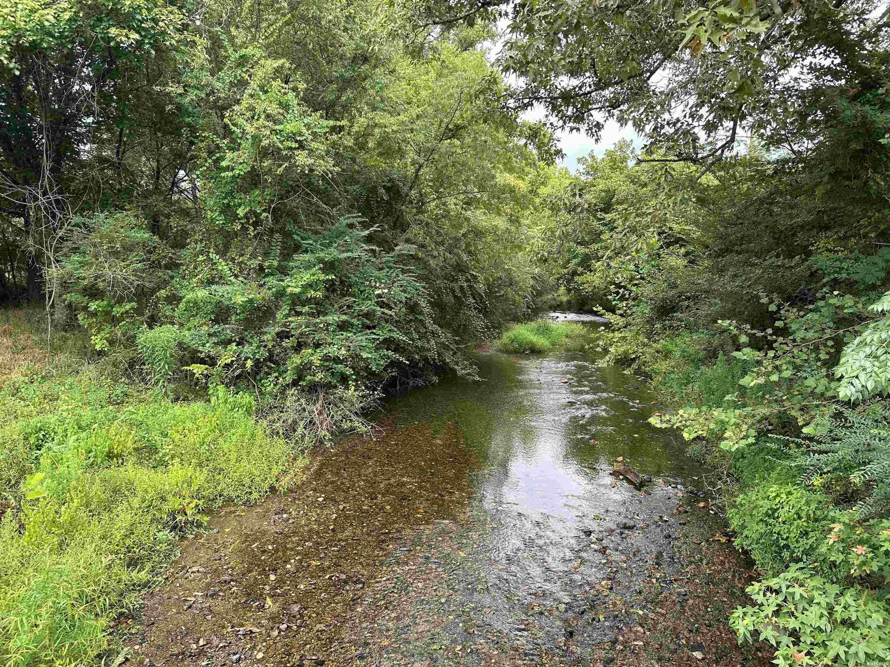 Lot 39 Copenhaver Trail Property Photo 14