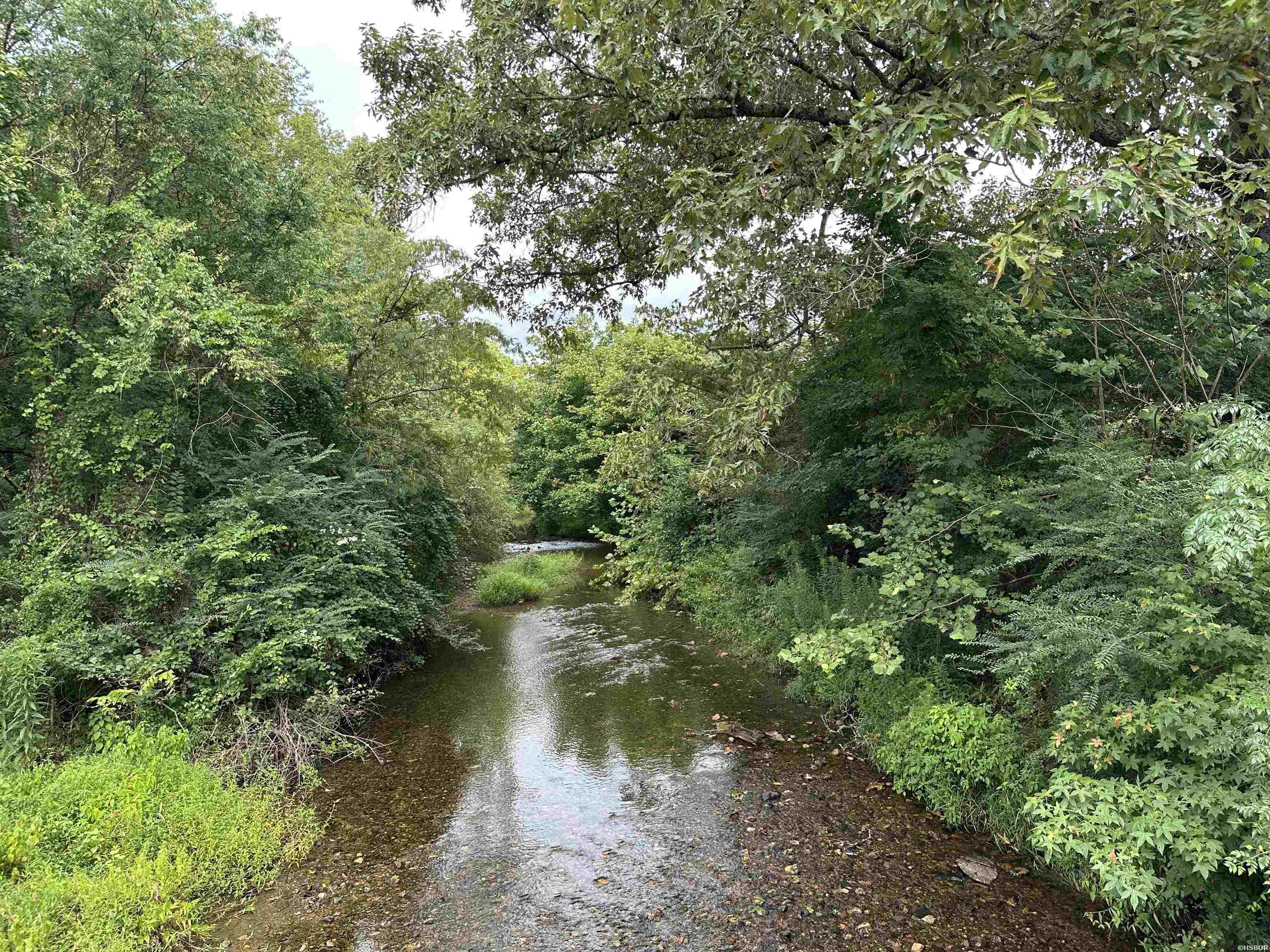 Lot 39 Copenhaver Trail Property Photo 15