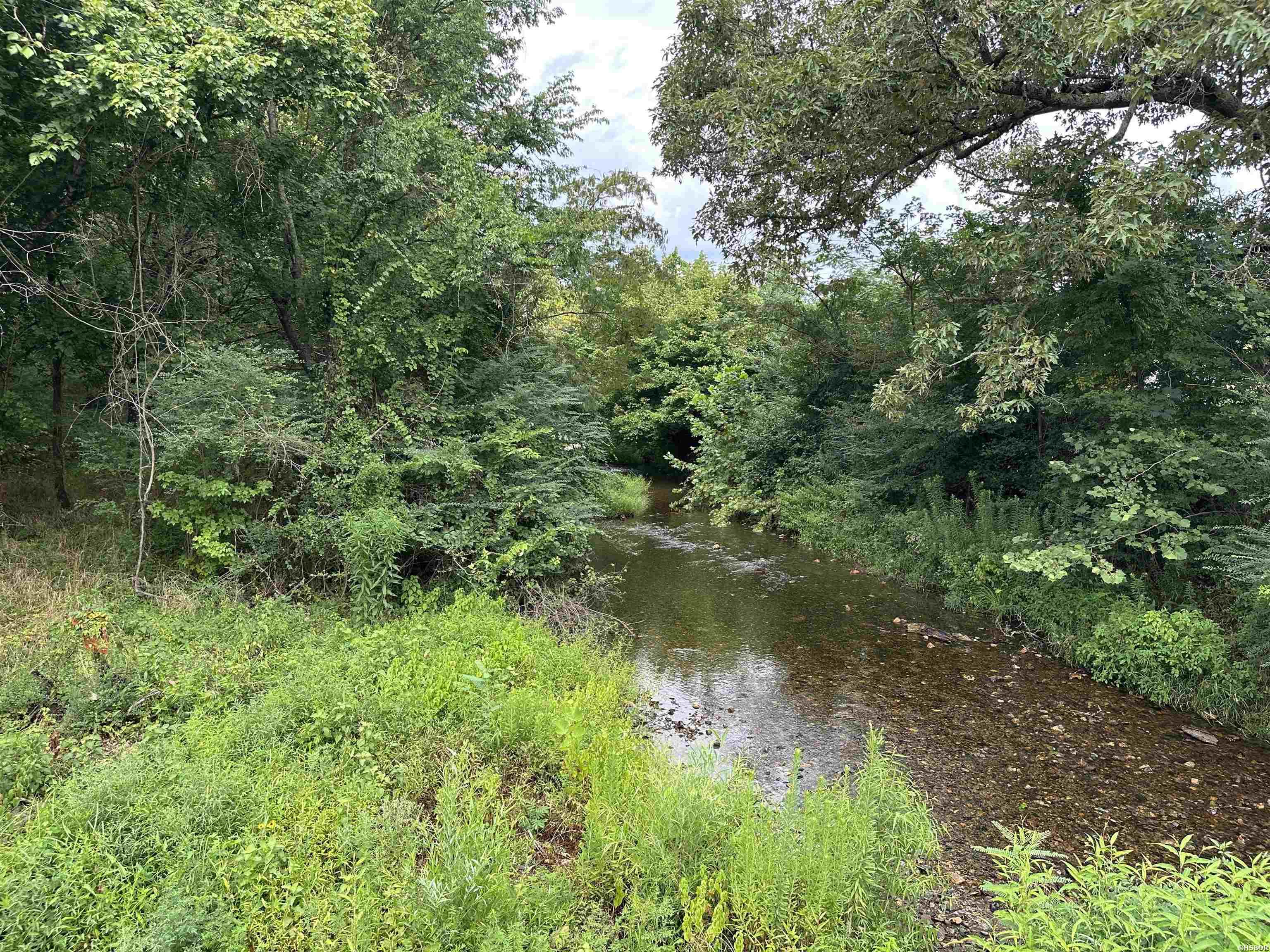 Lot 39 Copenhaver Trail Property Photo 16