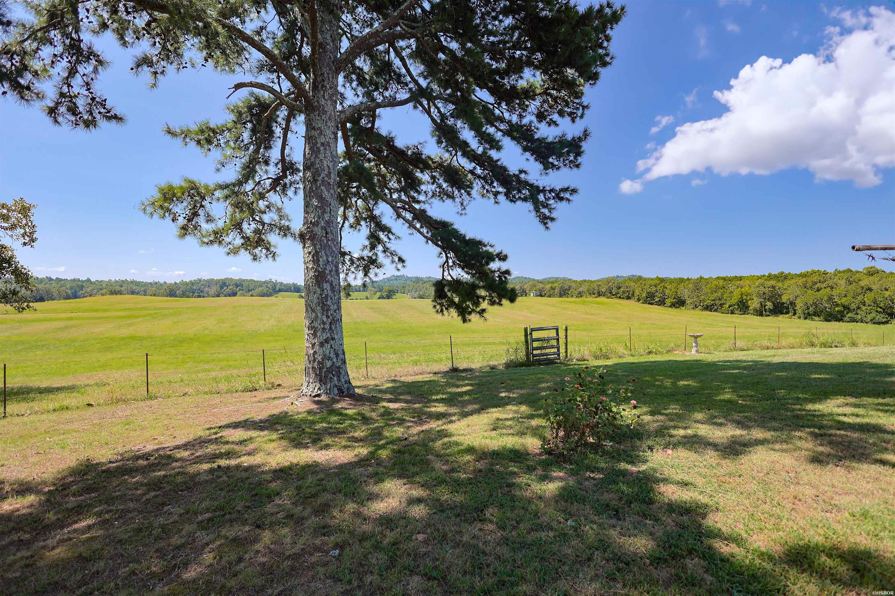 1007 Murphy Road Property Photo 37