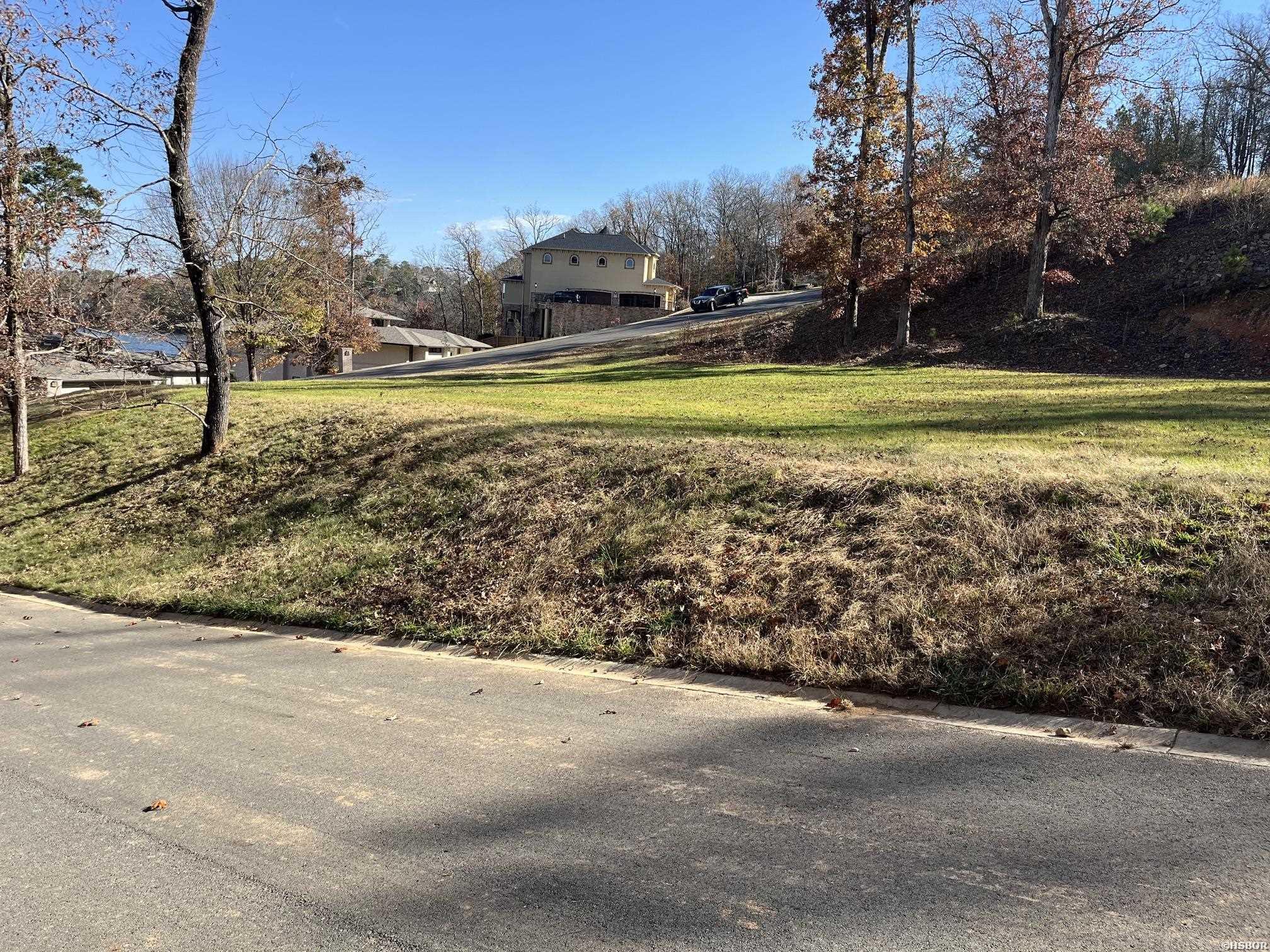 Tbd Lake Forest Shores Drive Property Photo 3