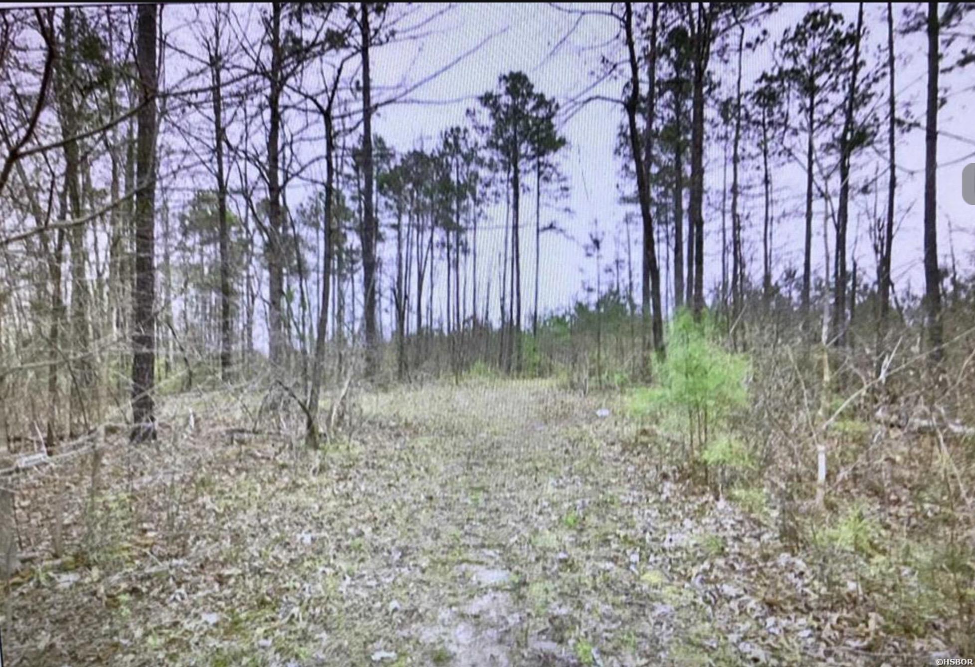 Tbd Deer Ridge Road Property Photo 2