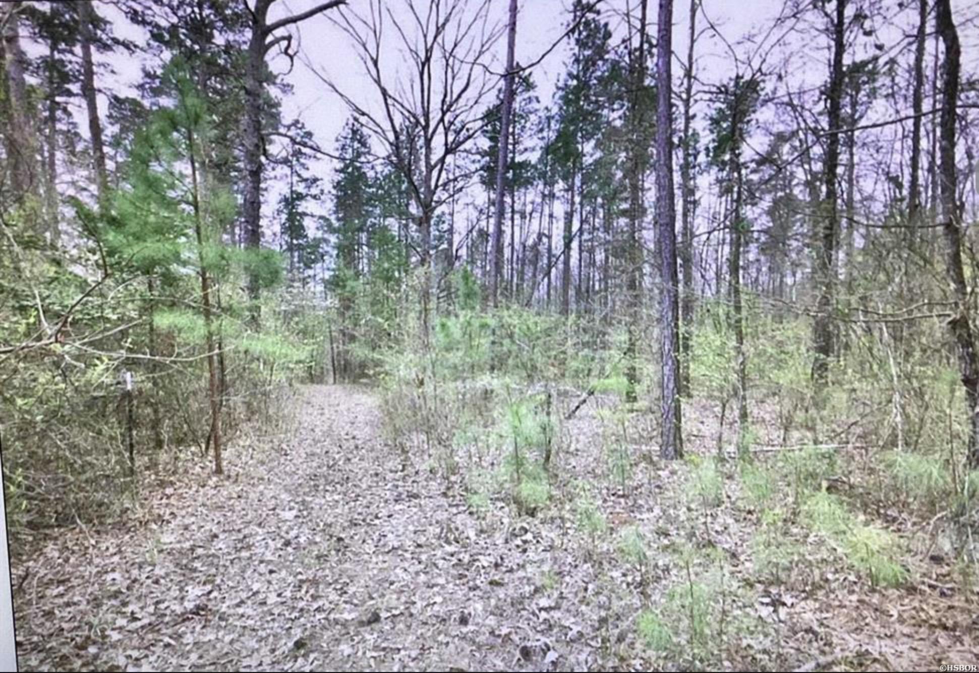 Tbd Deer Ridge Road Property Photo 3