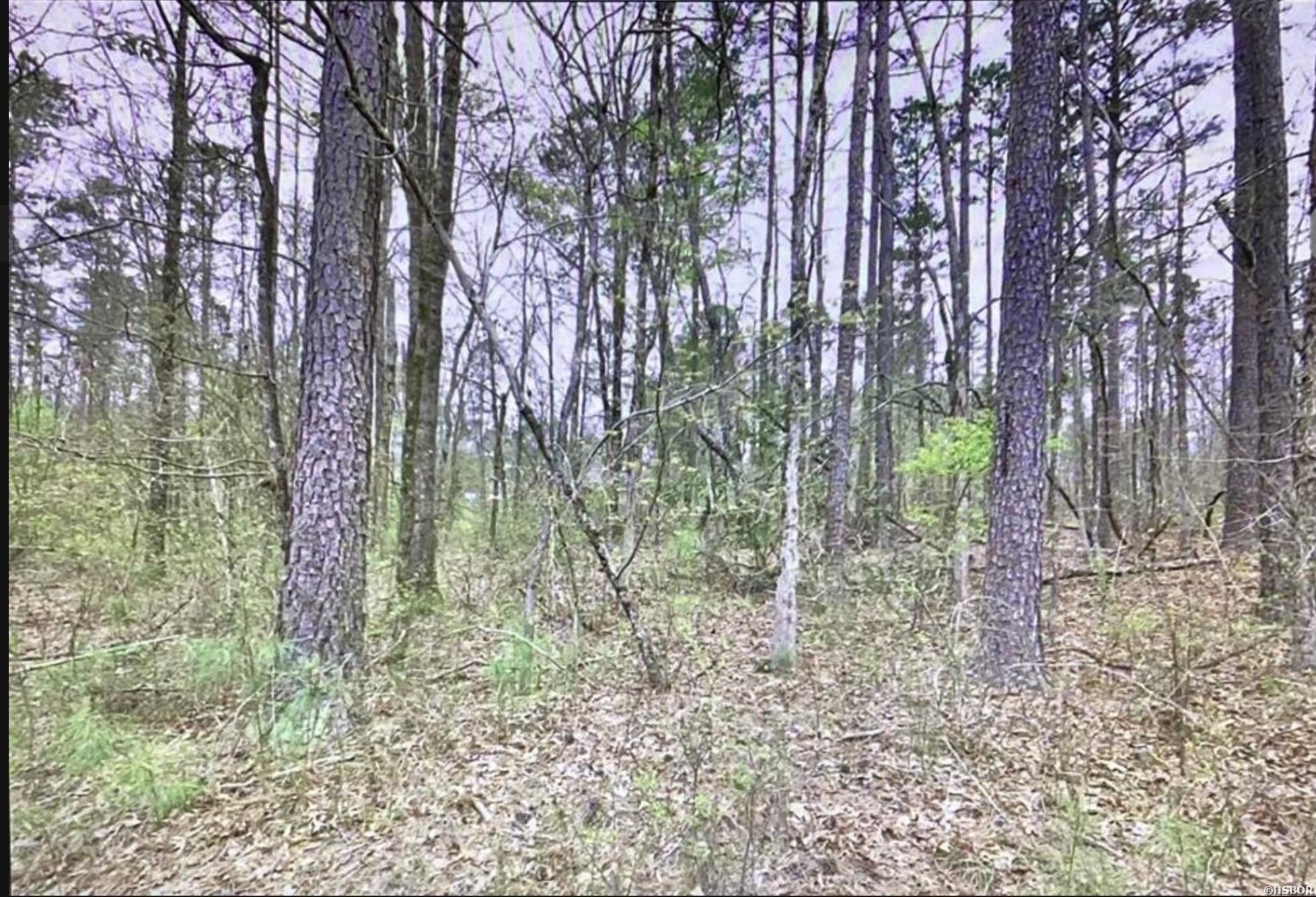 Tbd Deer Ridge Road Property Photo 4