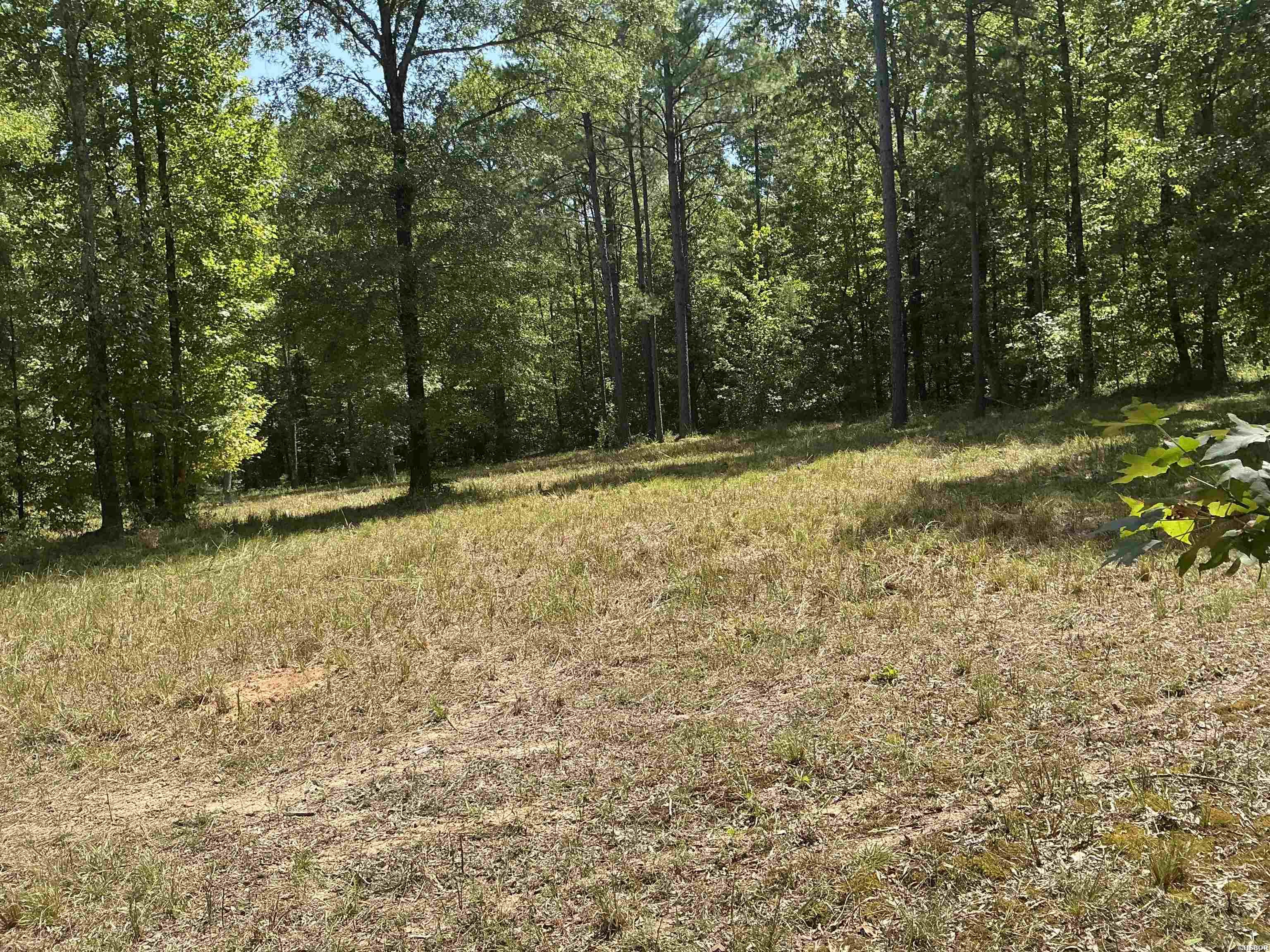 Tbd Deer Ridge Road Property Photo 5