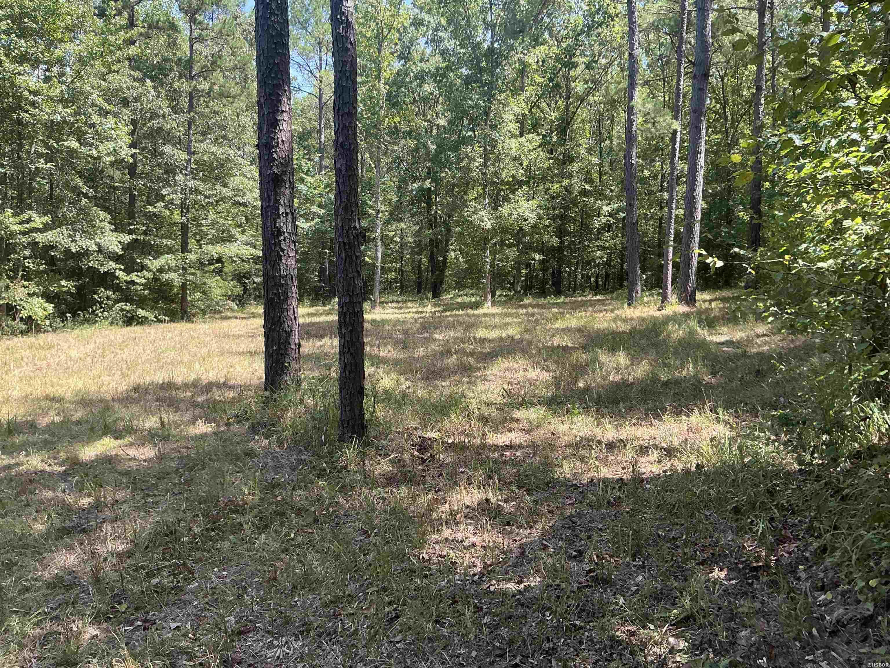 Tbd Deer Ridge Road Property Photo 6