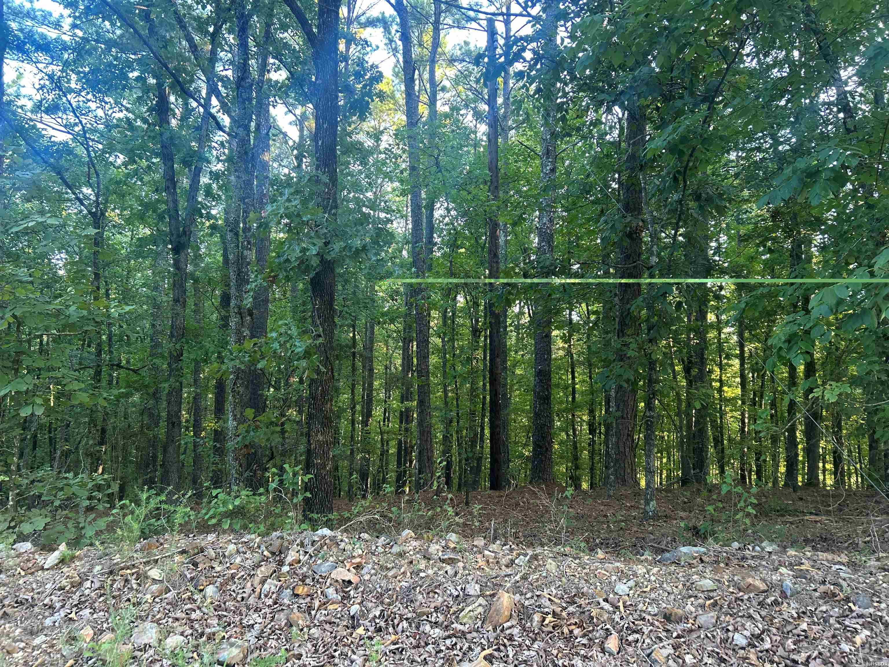 Tbd Camden Lane Property Photo 7