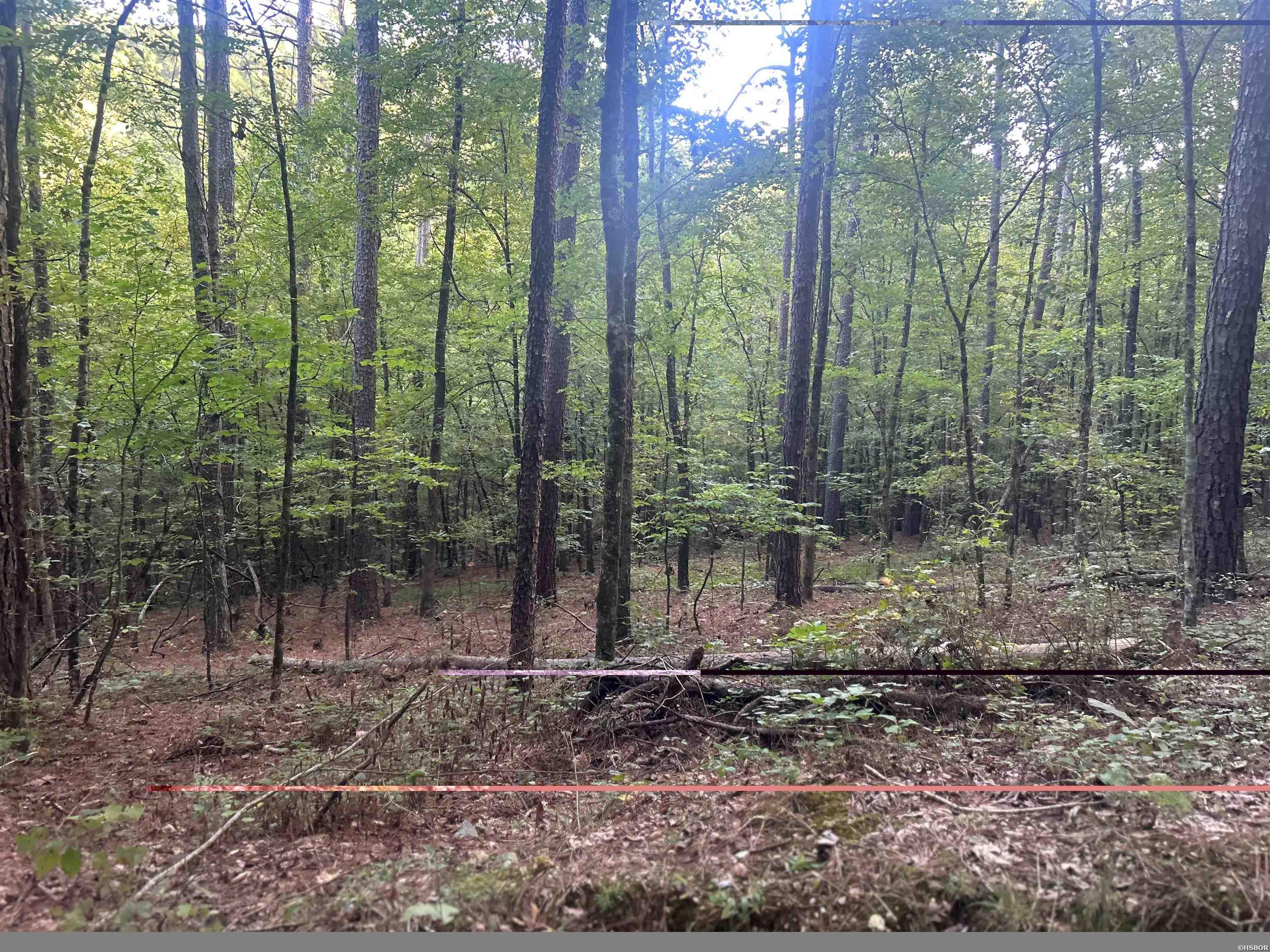 Tbd Camden Lane Property Photo 9