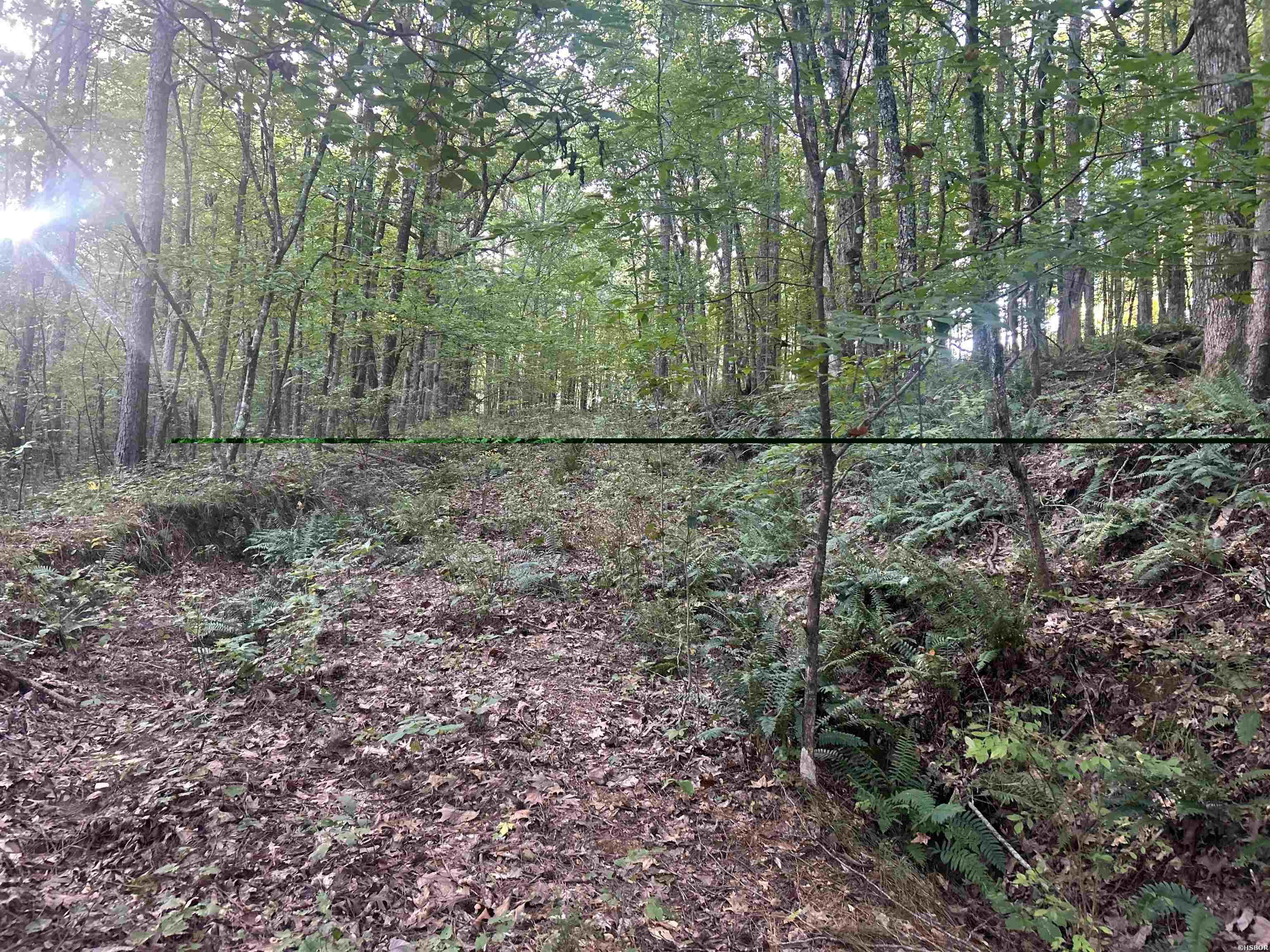 Tbd Camden Lane Property Photo 10