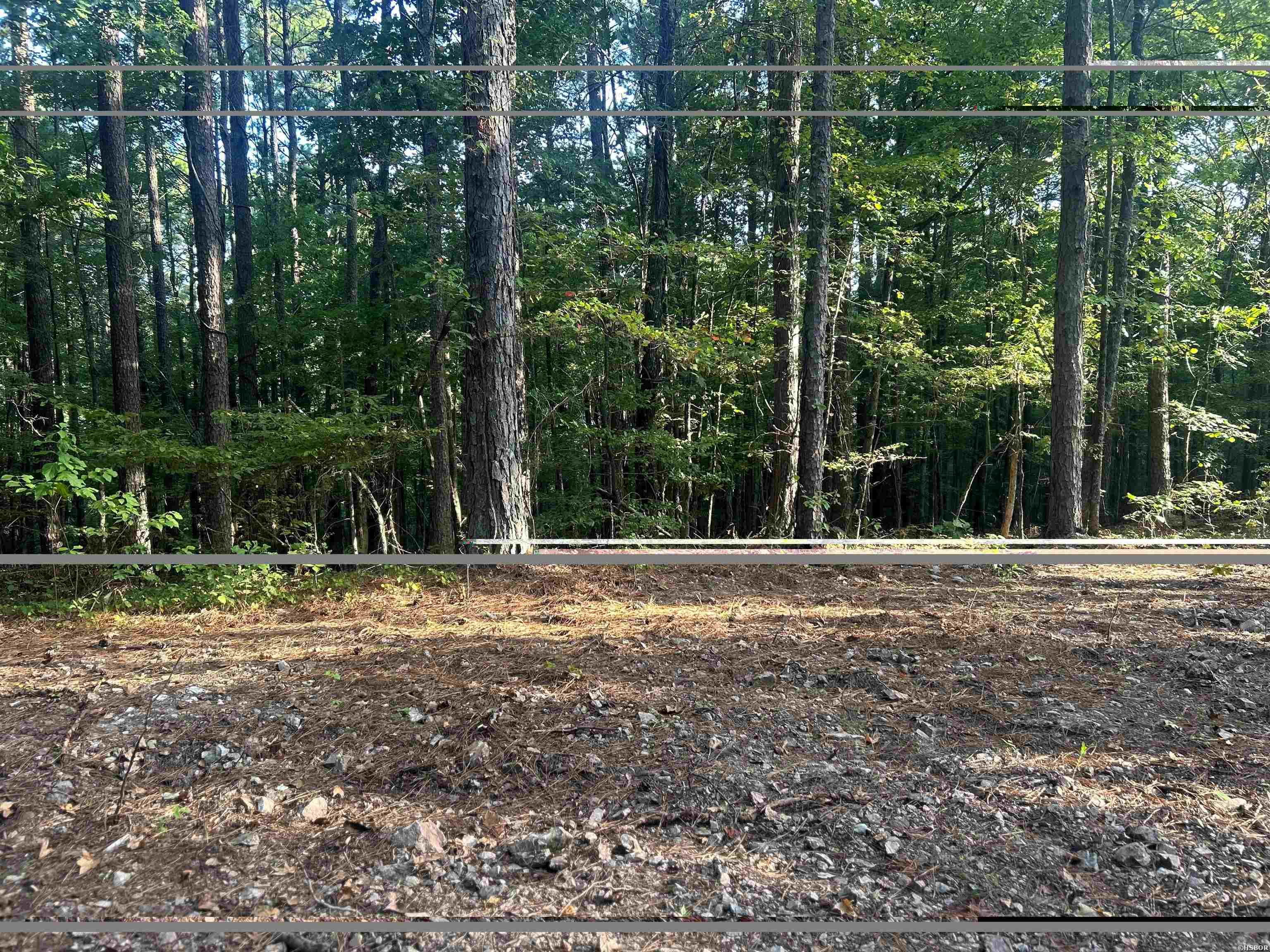 Tbd Camden Lane Property Photo 17