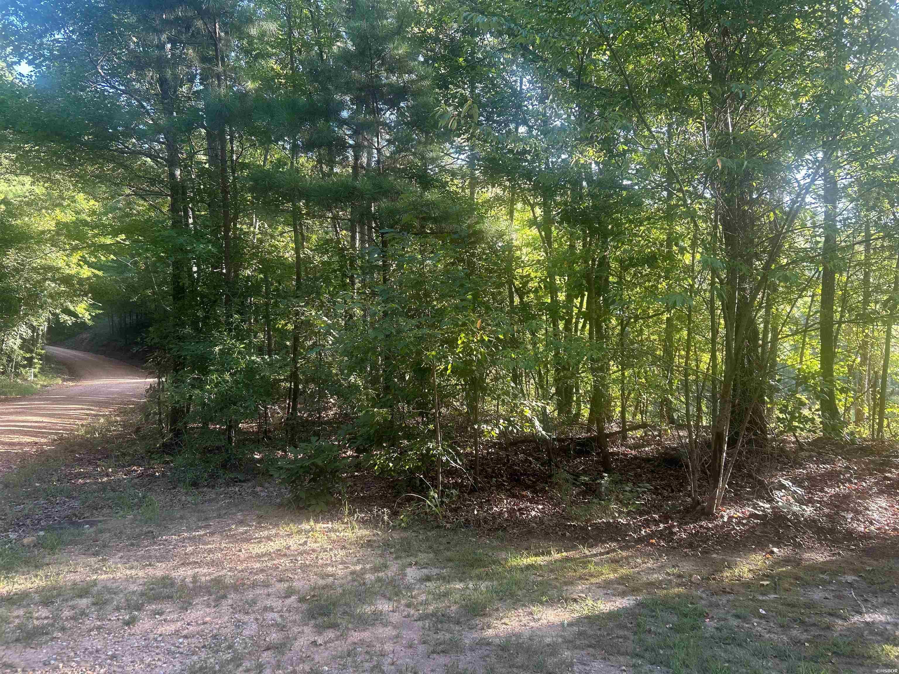 Tbd Camden Lane Property Photo 20
