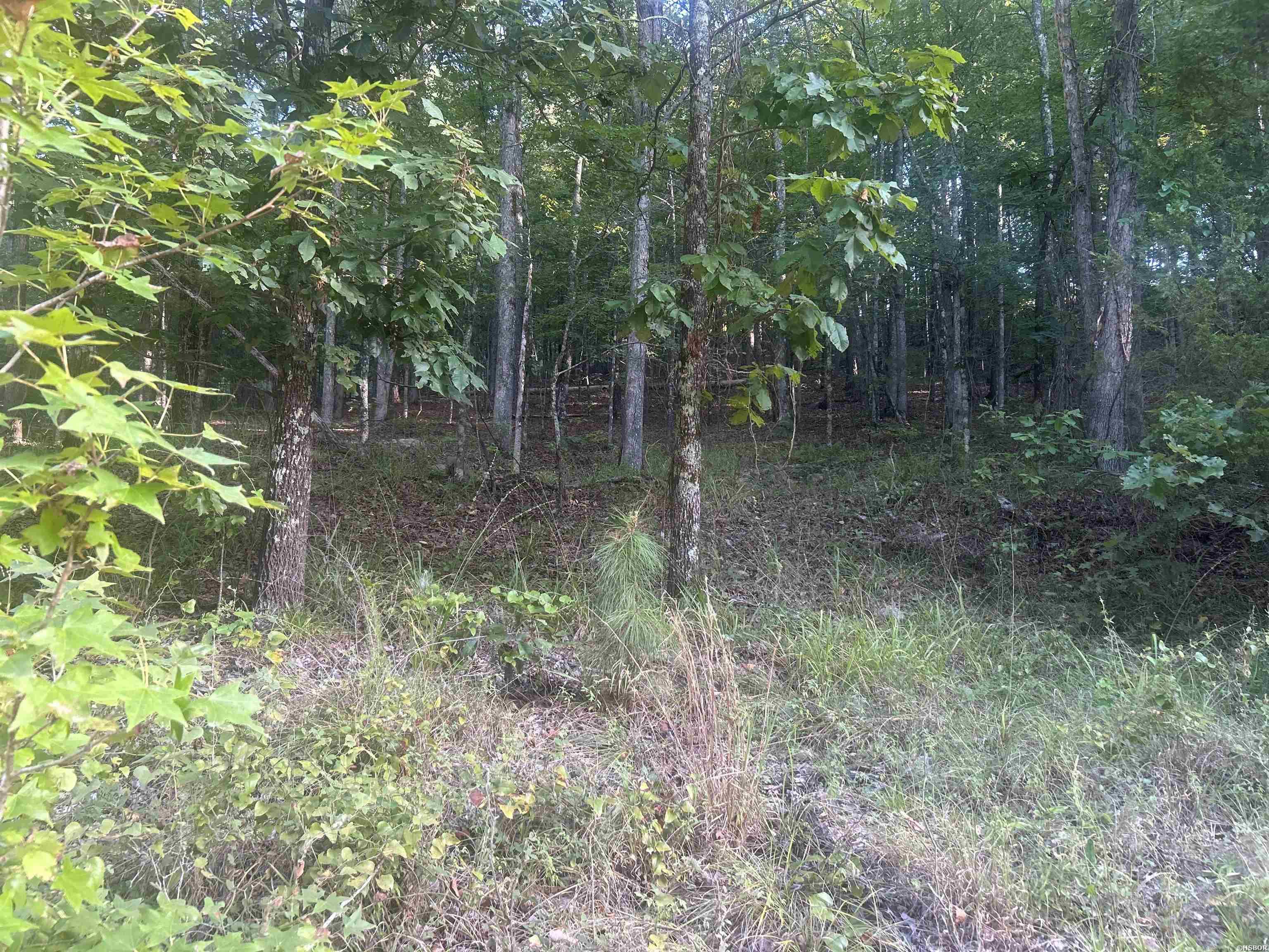 Tbd Camden Lane Property Photo 21