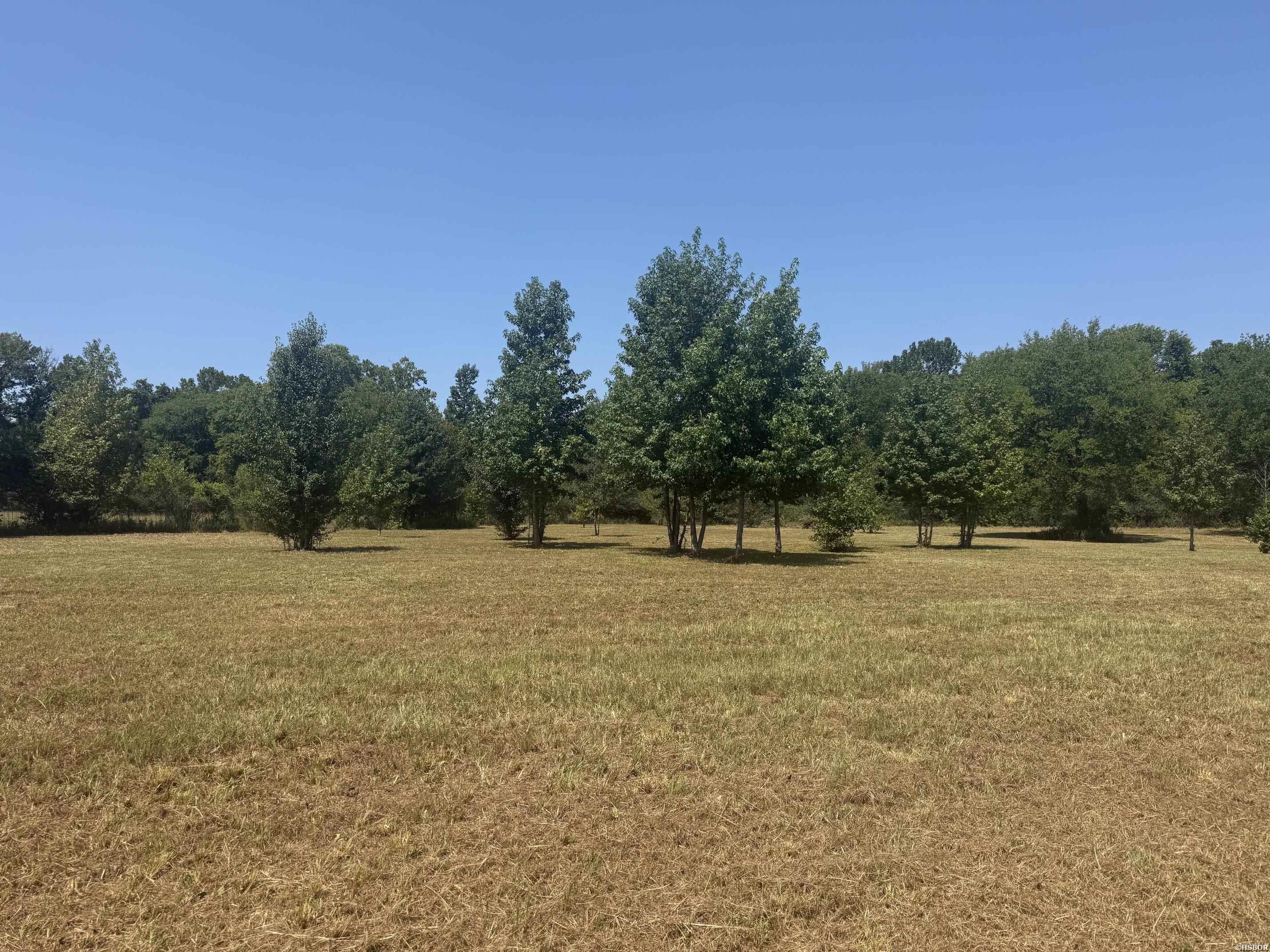 169 ALYDAR Trail Property Photo 1