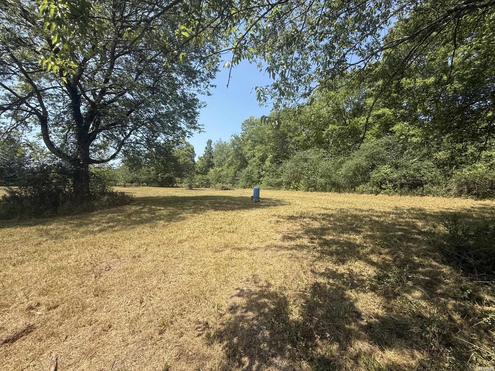 169 Alydar Trail Property Photo 7