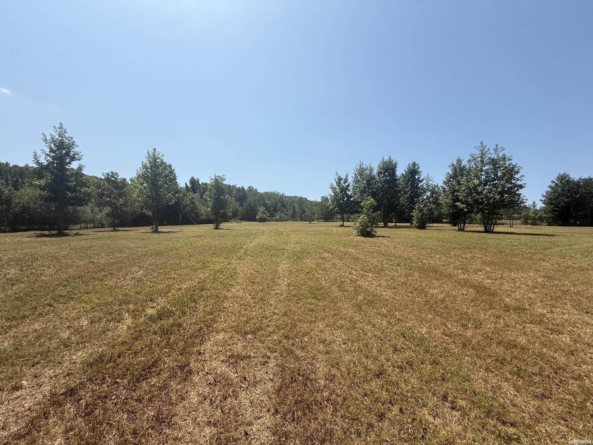 169 Alydar Trail Property Photo 8