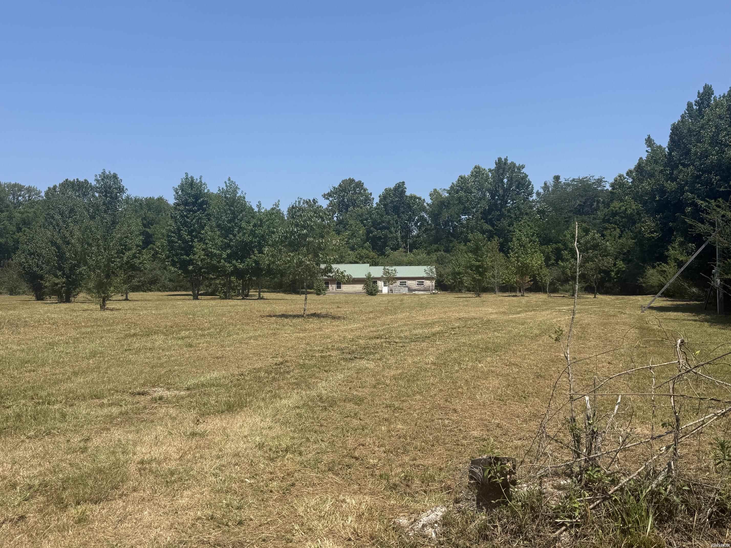169 Alydar Trail Property Photo 9