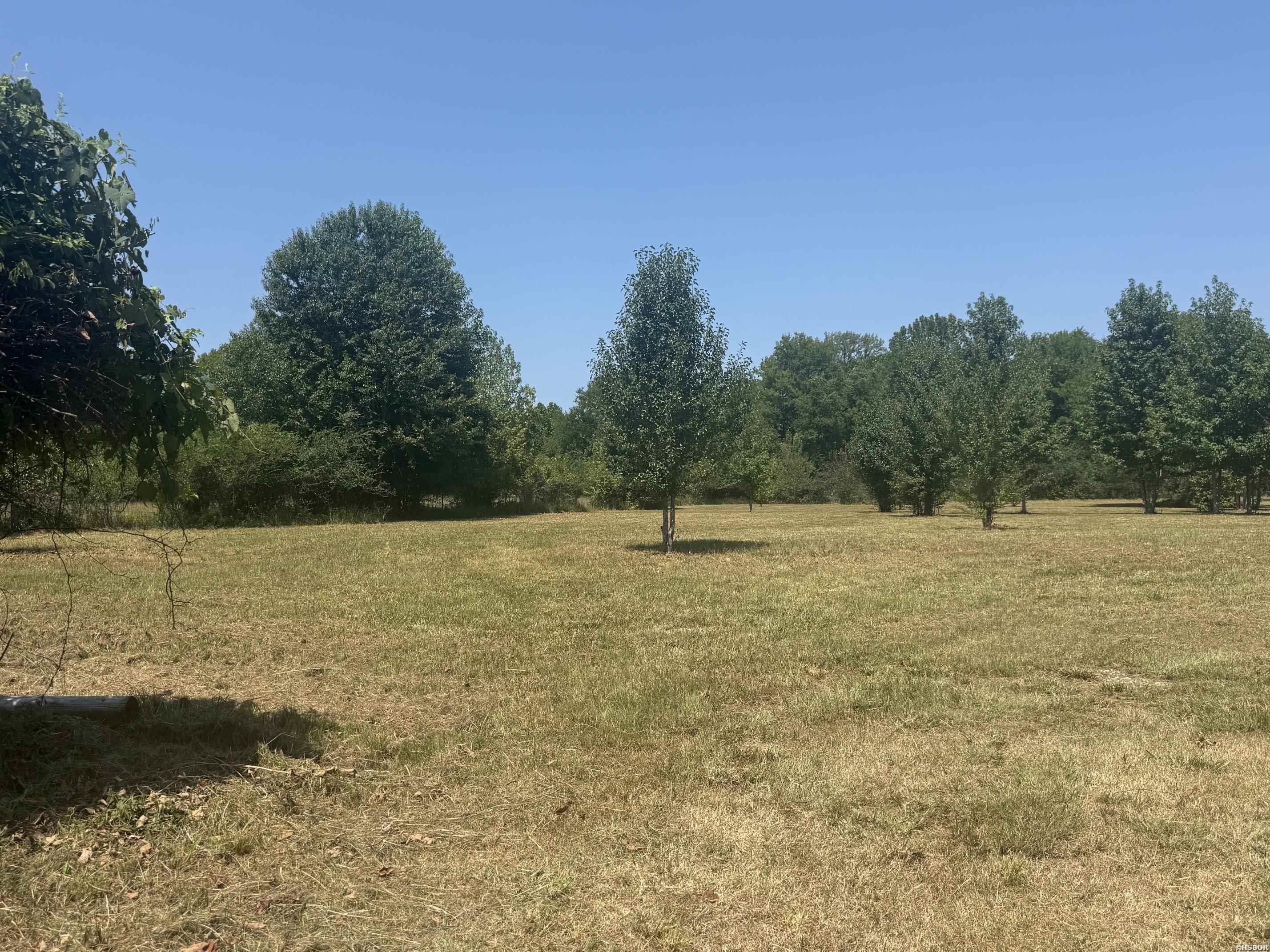 169 Alydar Trail Property Photo 10